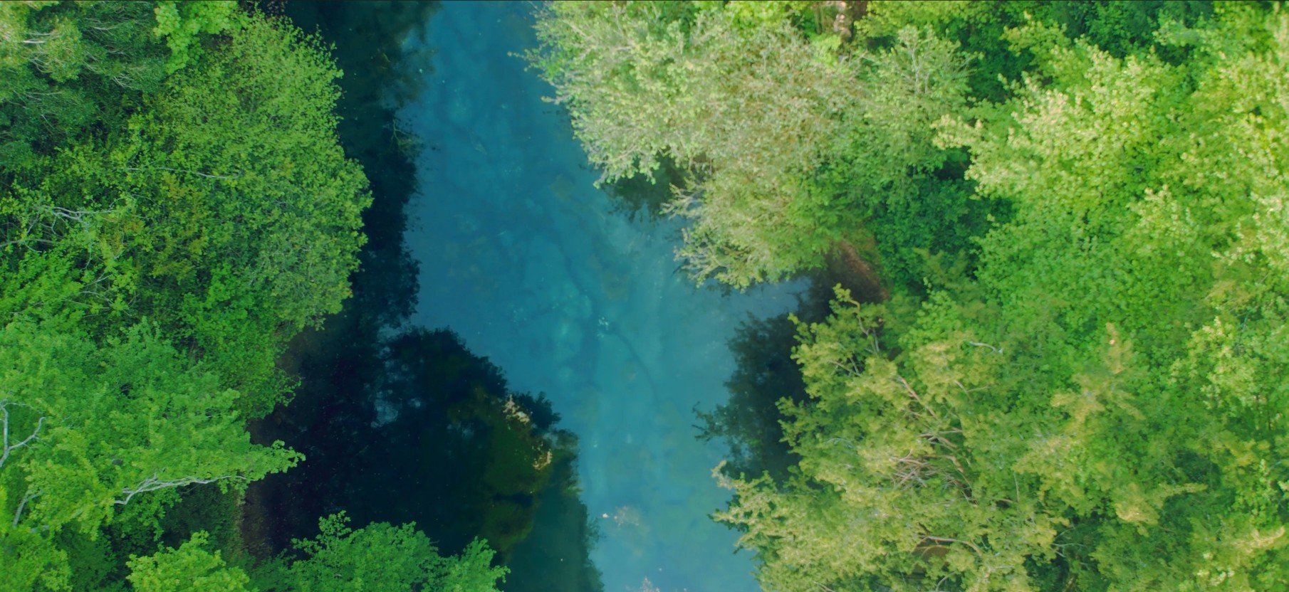 Screenshot 2026-05-12 181609.jpg