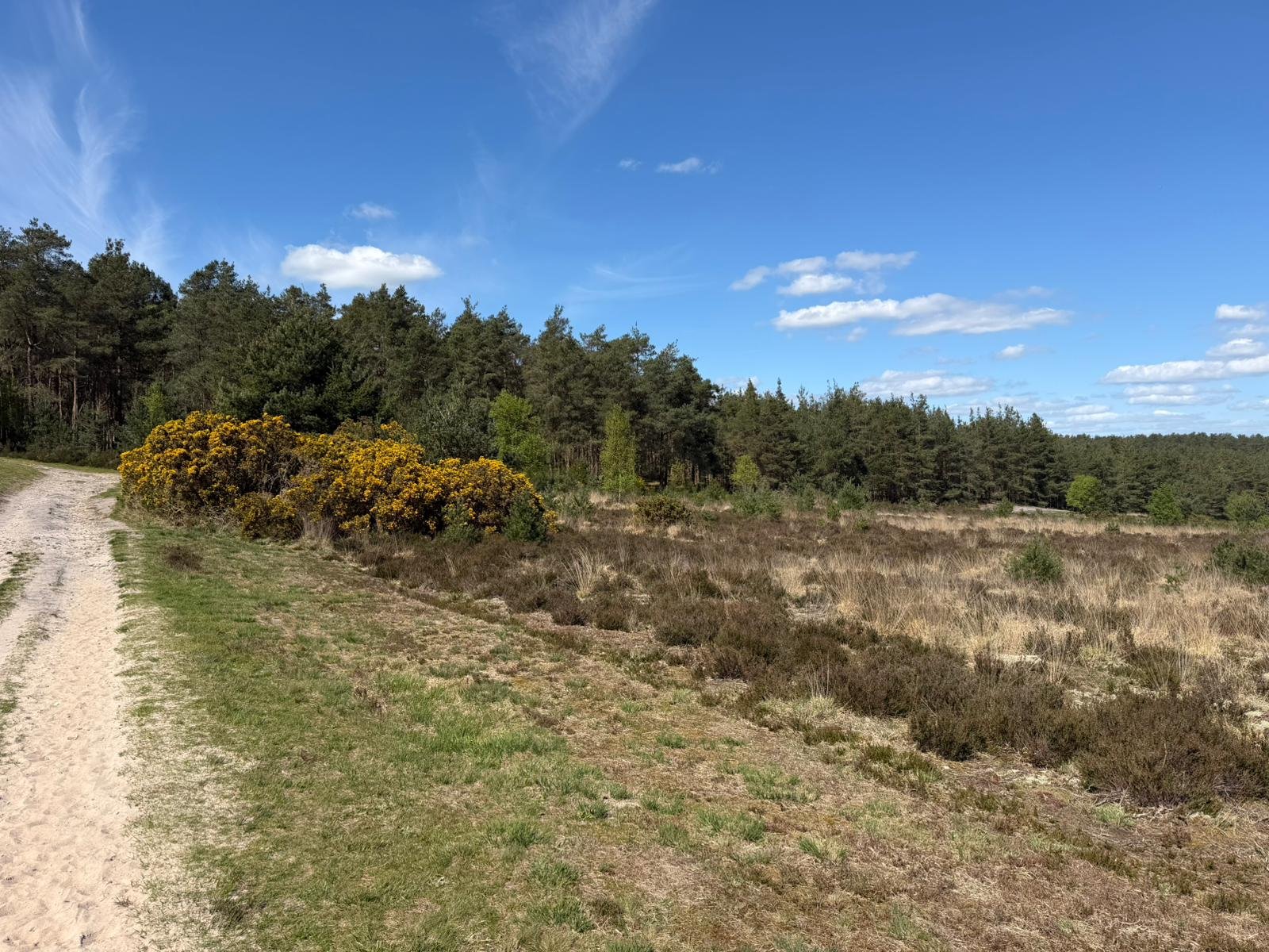 WhatsApp Image 2026-04-19 at 13.34.14.jpeg