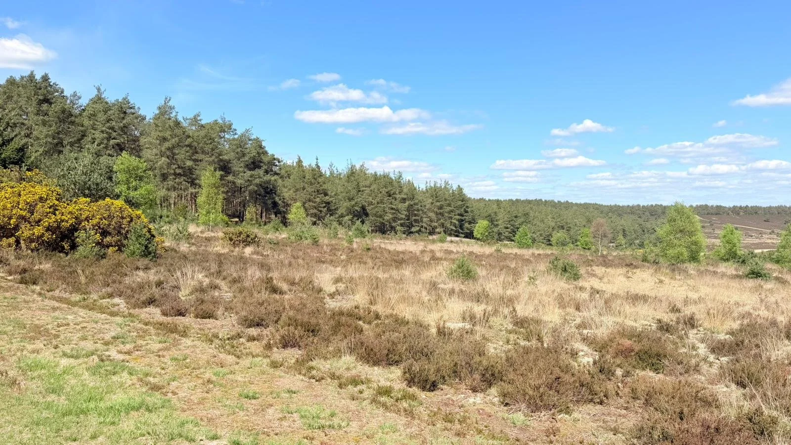 WhatsApp Image 2026-04-19 at 13.34.15 (1).jpeg