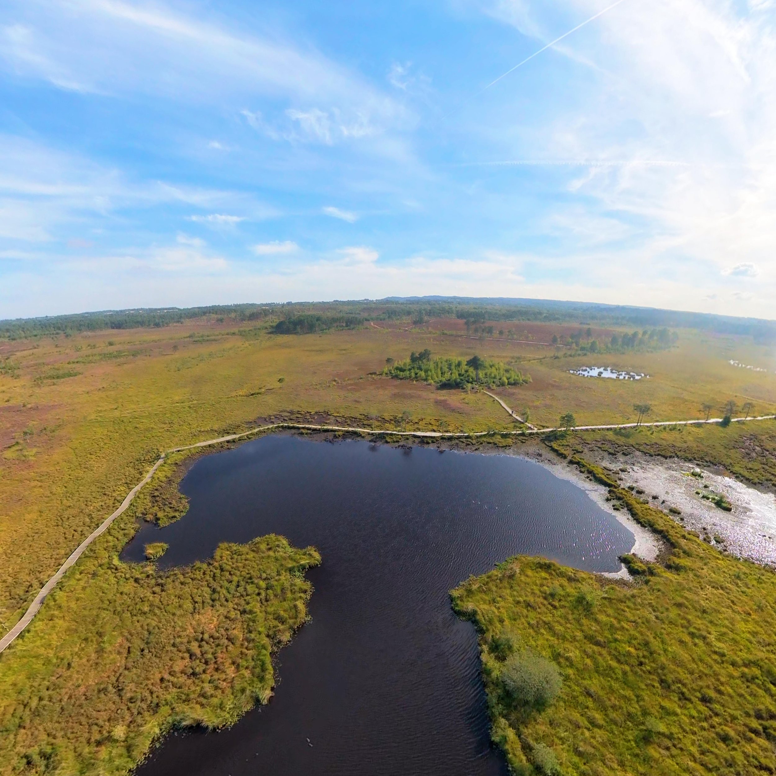 Thursley Common National Nature Reserve from Above
