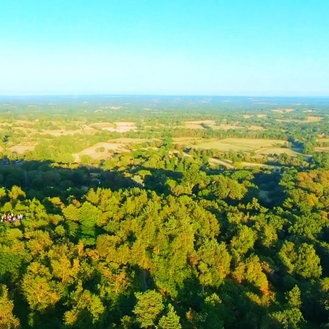DJI_20260812191857_0043_D_1786574625669.jpg