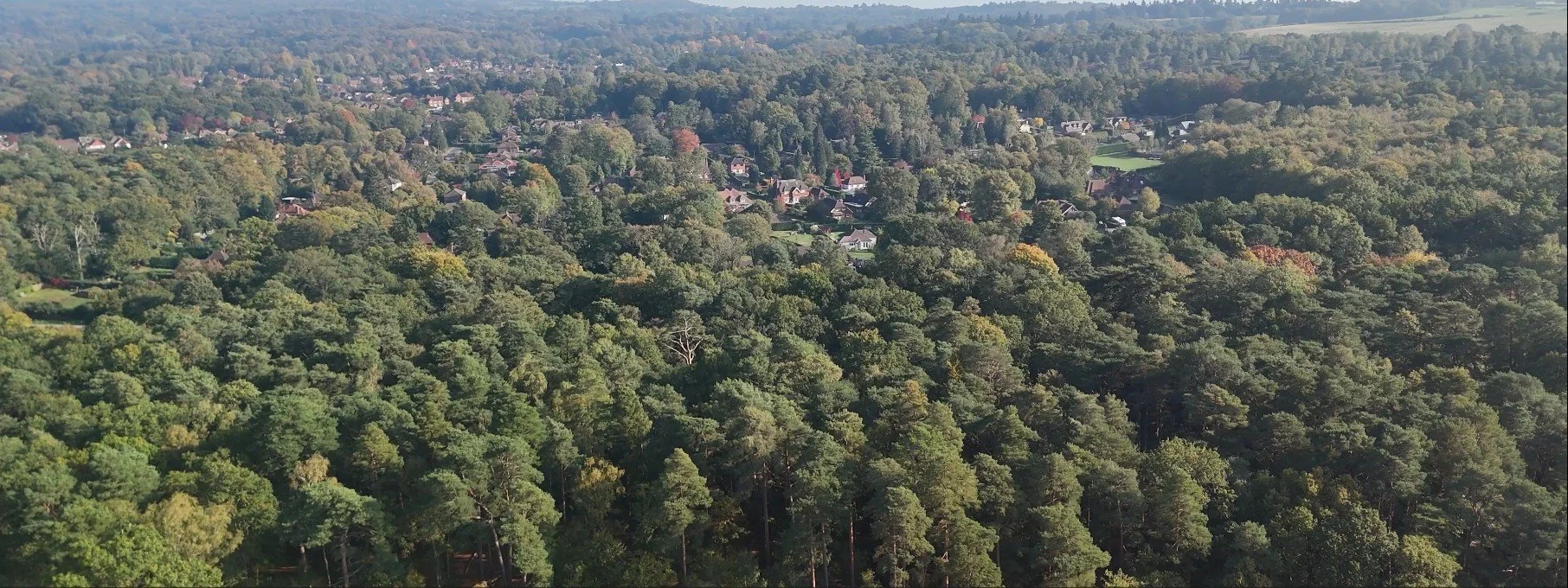 Rodborough Common Surrey UK– Drone images