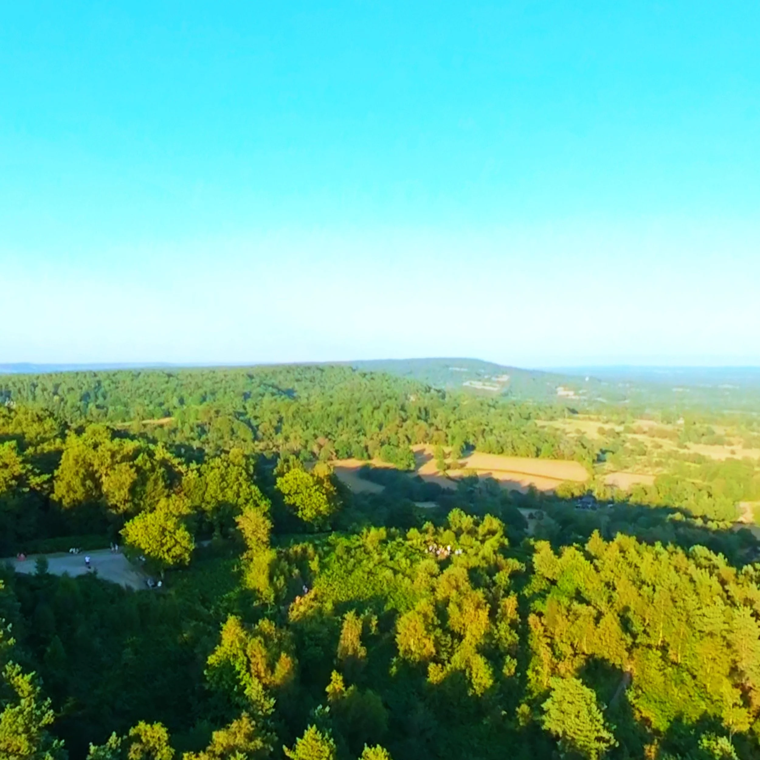 DJI_20260812191857_0043_D_1786574826815.jpg