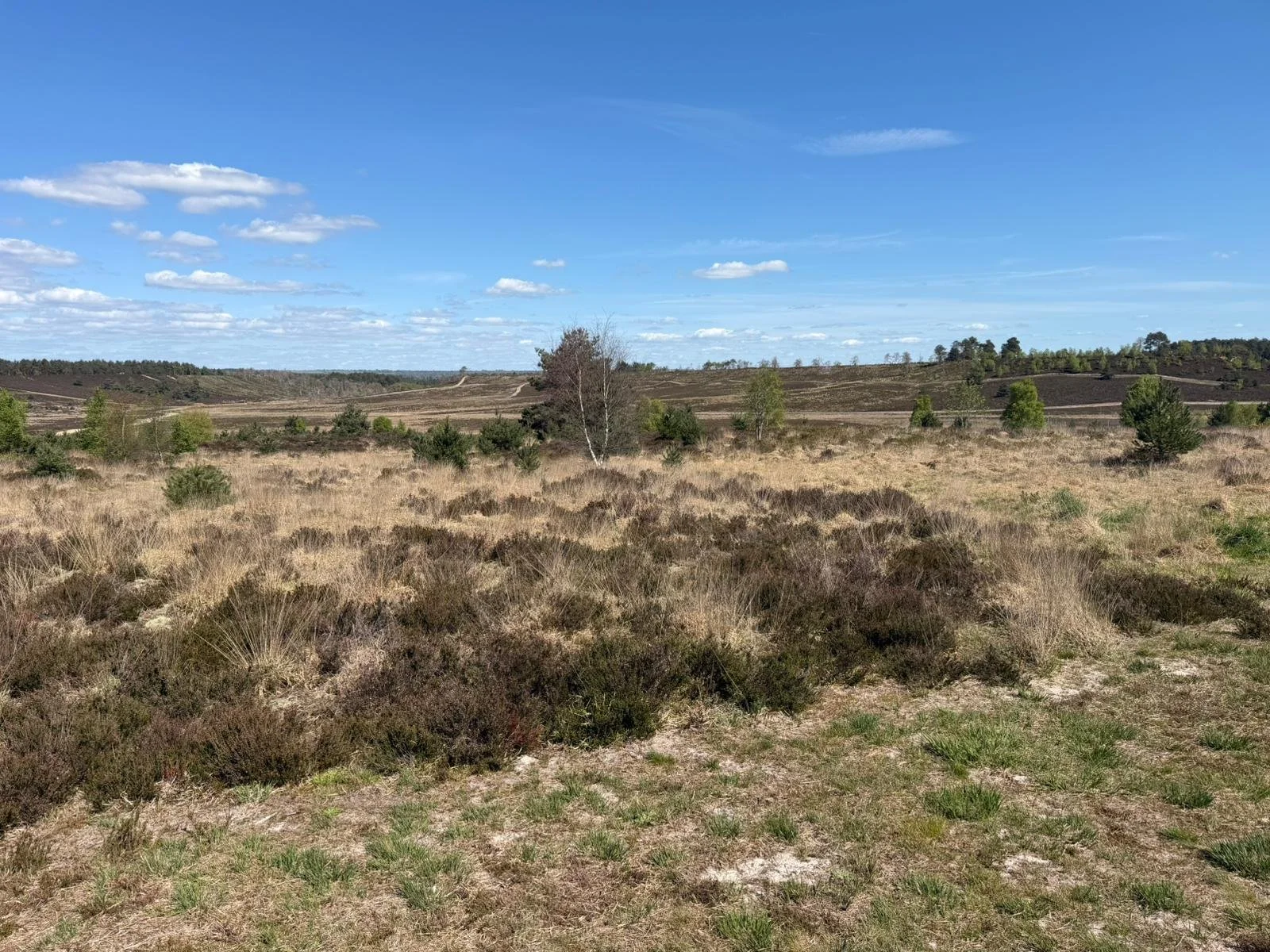 WhatsApp Image 2026-04-19 at 13.34.14 (5).jpeg