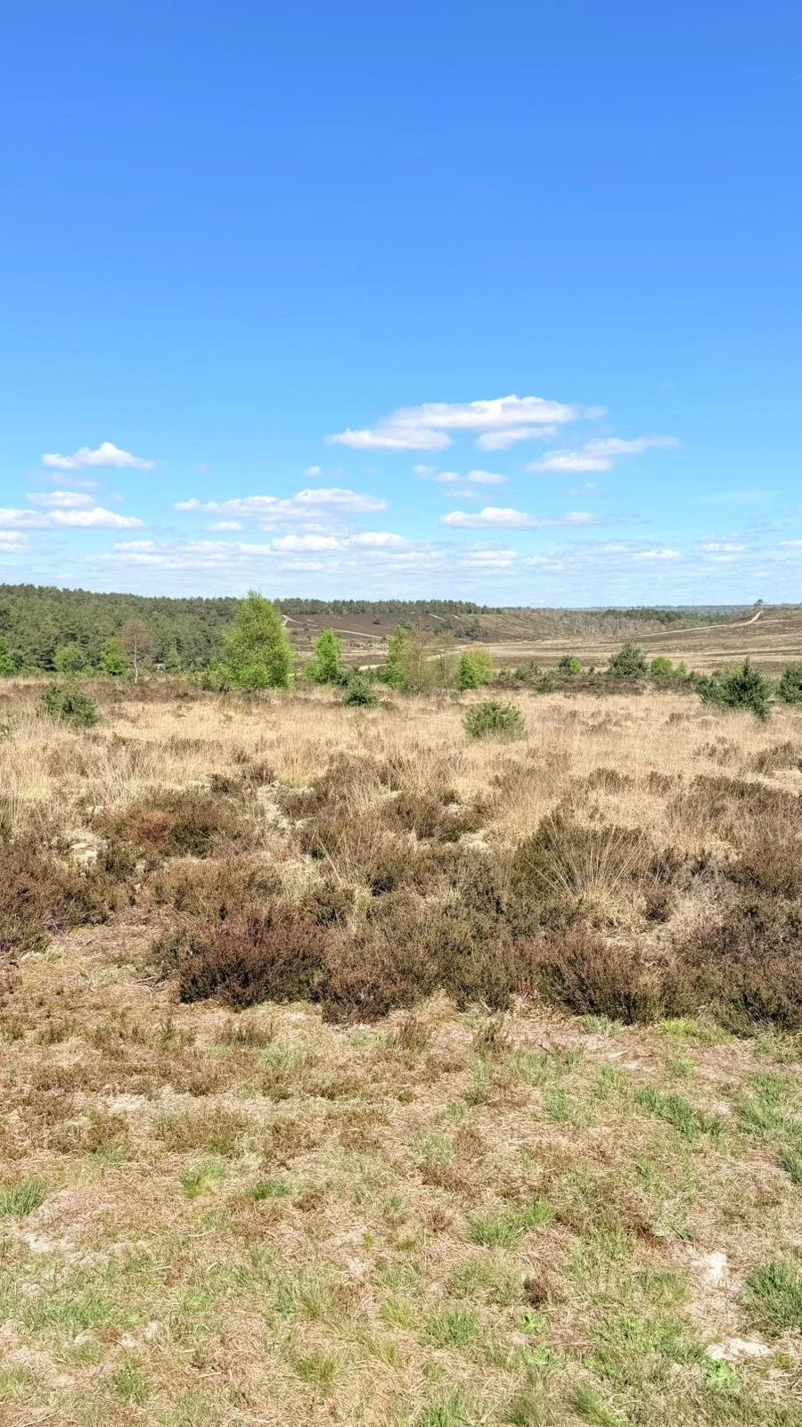 WhatsApp Image 2026-04-19 at 13.34.15.jpeg