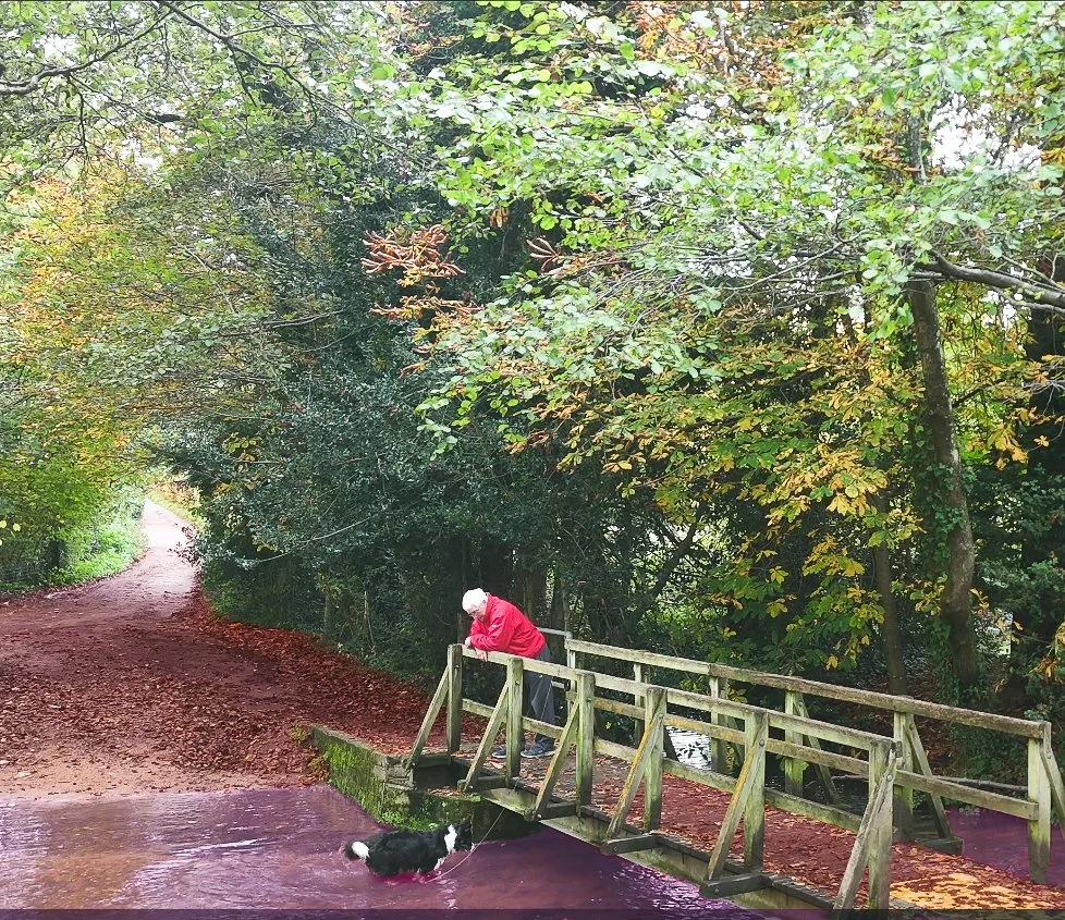 Screenshot 2025-10-23 025312.jpg