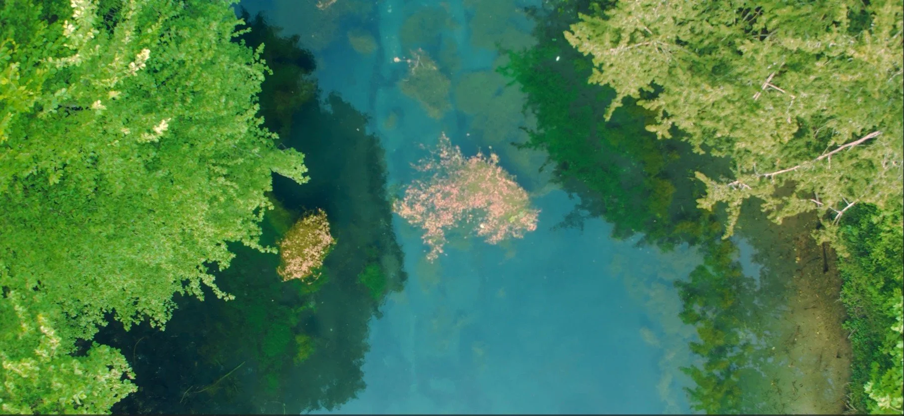 Screenshot 2026-05-12 181525.jpg