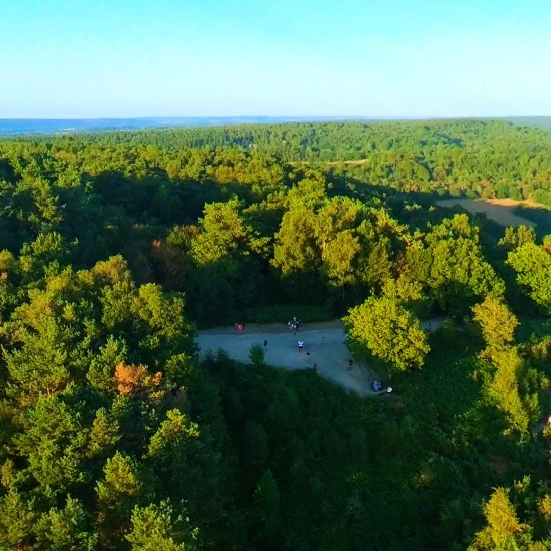 DJI_20260812191857_0043_D_1786574658808.jpg