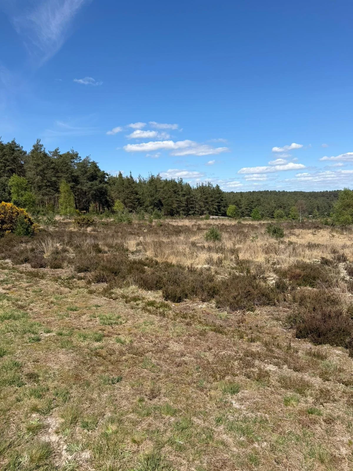 WhatsApp Image 2026-04-19 at 13.34.14 (3).jpeg