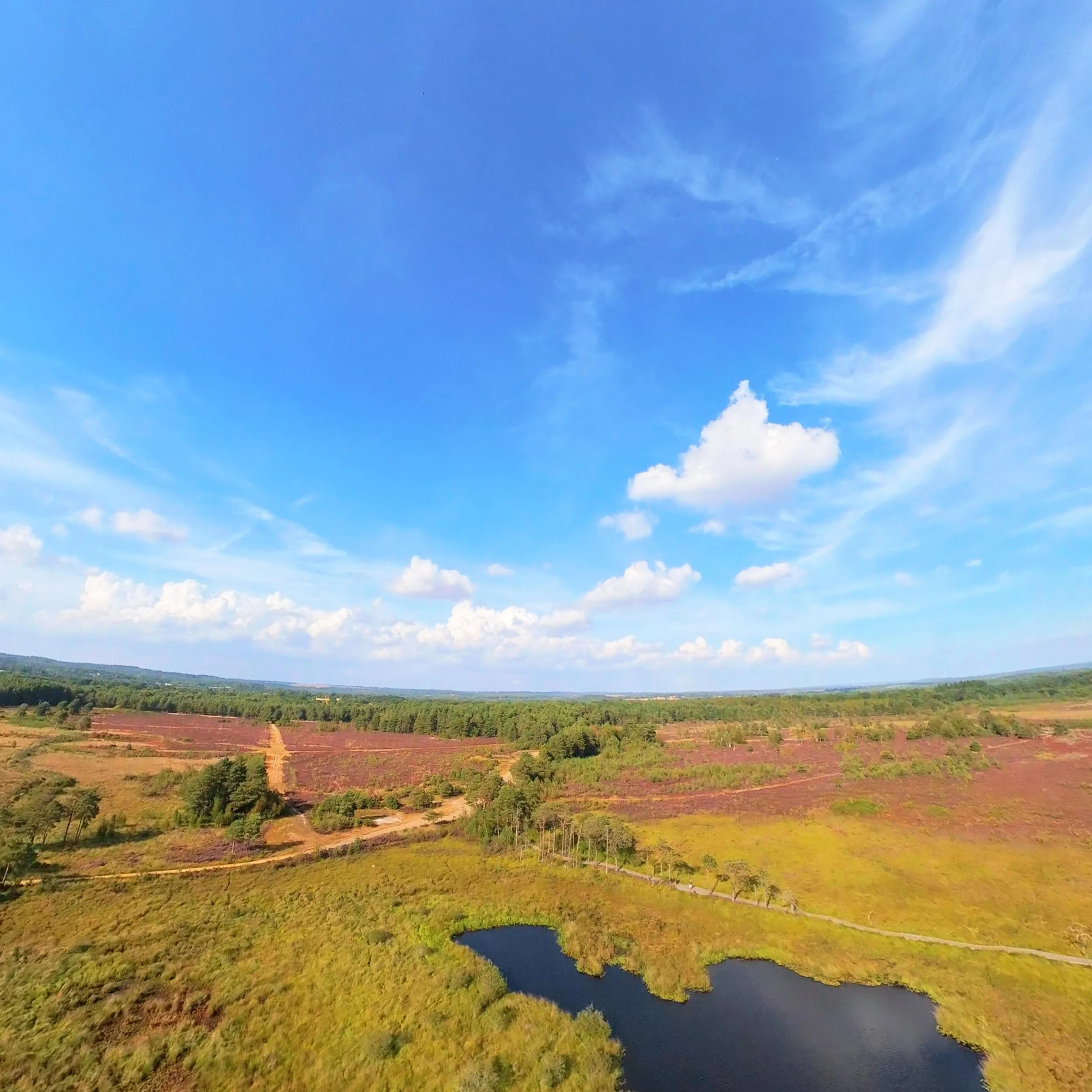 DJI_20260826162808_0044_D_1787778045029.jpg