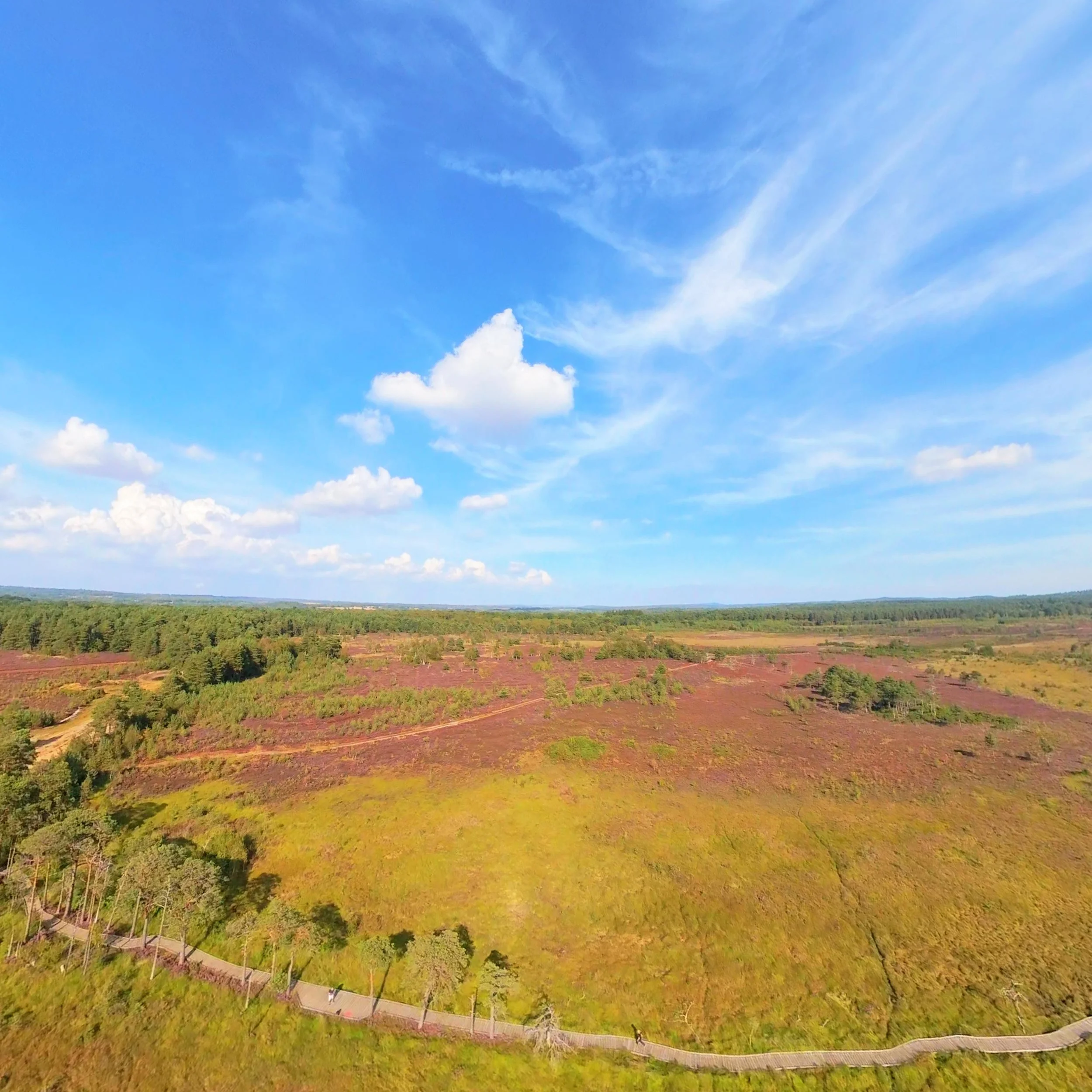 DJI_20260826162808_0044_D_1787777972704.jpg