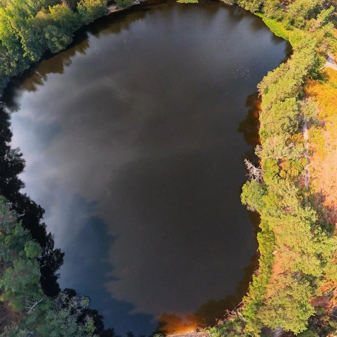 DJI_20260826170413_0047_D_1787793059101.jpg