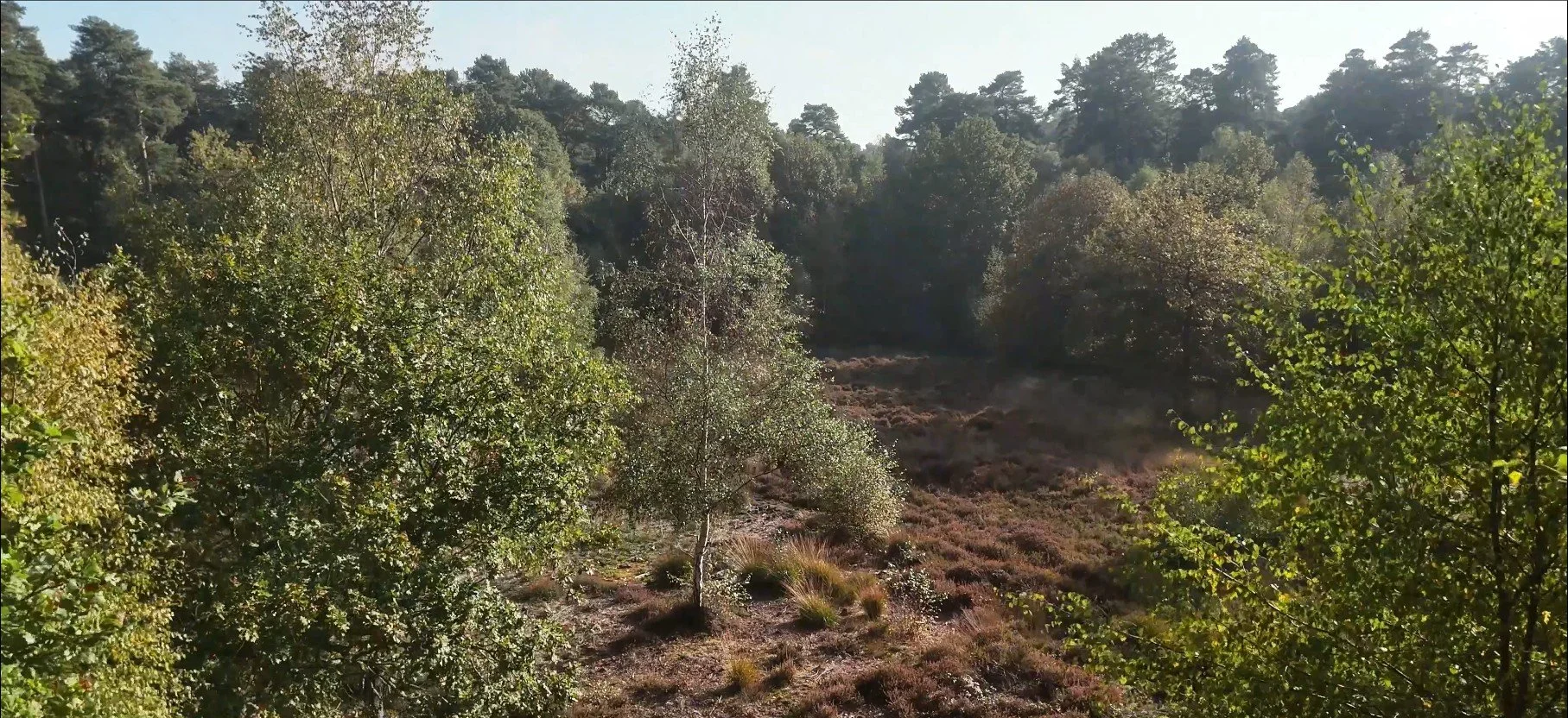 Screenshot 2026-05-12 120418.jpg