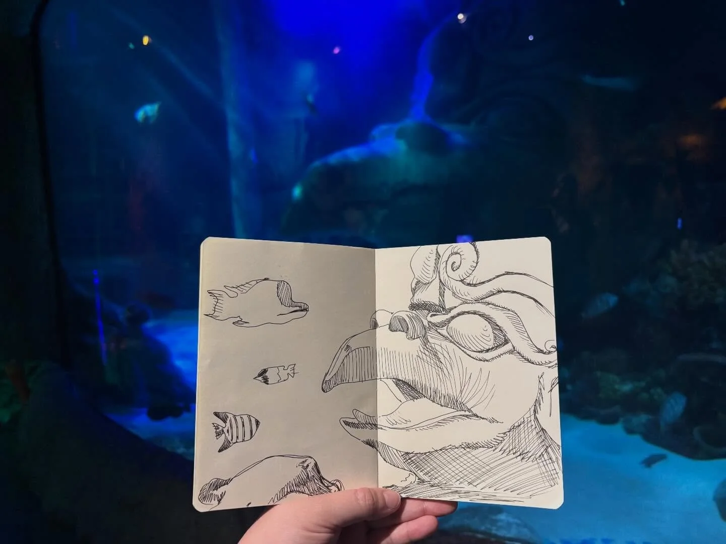 Aquarium day with some buddies 🐟
-
-
-
-
#art#sketchbook#orlando#fountainpen
