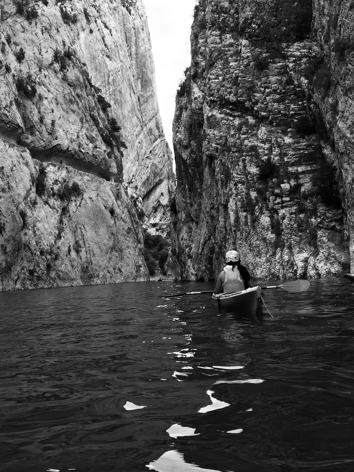 6958b5ac-95f9-47ed-b297-d046c69a34f7 3.jpg