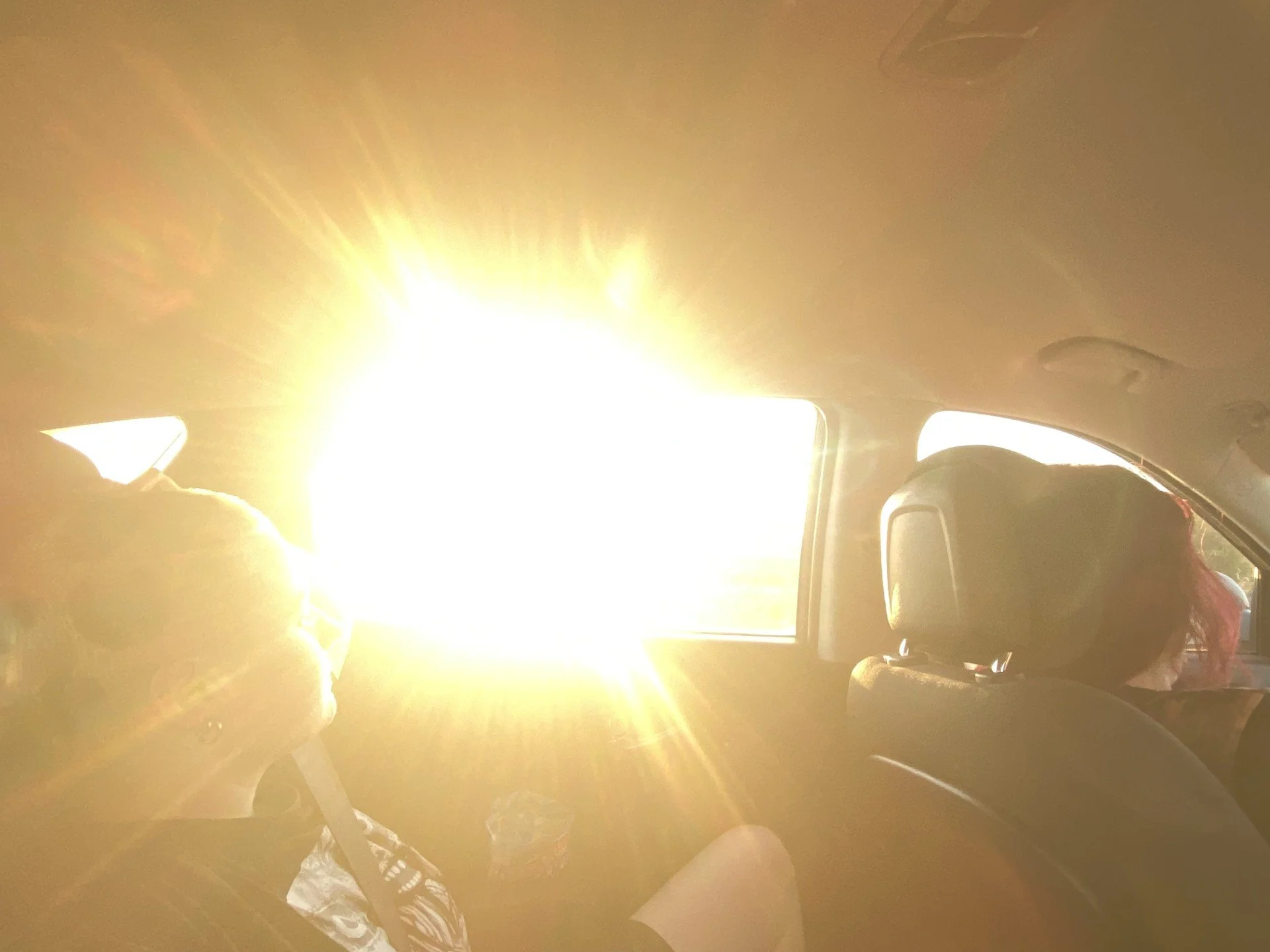 backseat sun.jpg