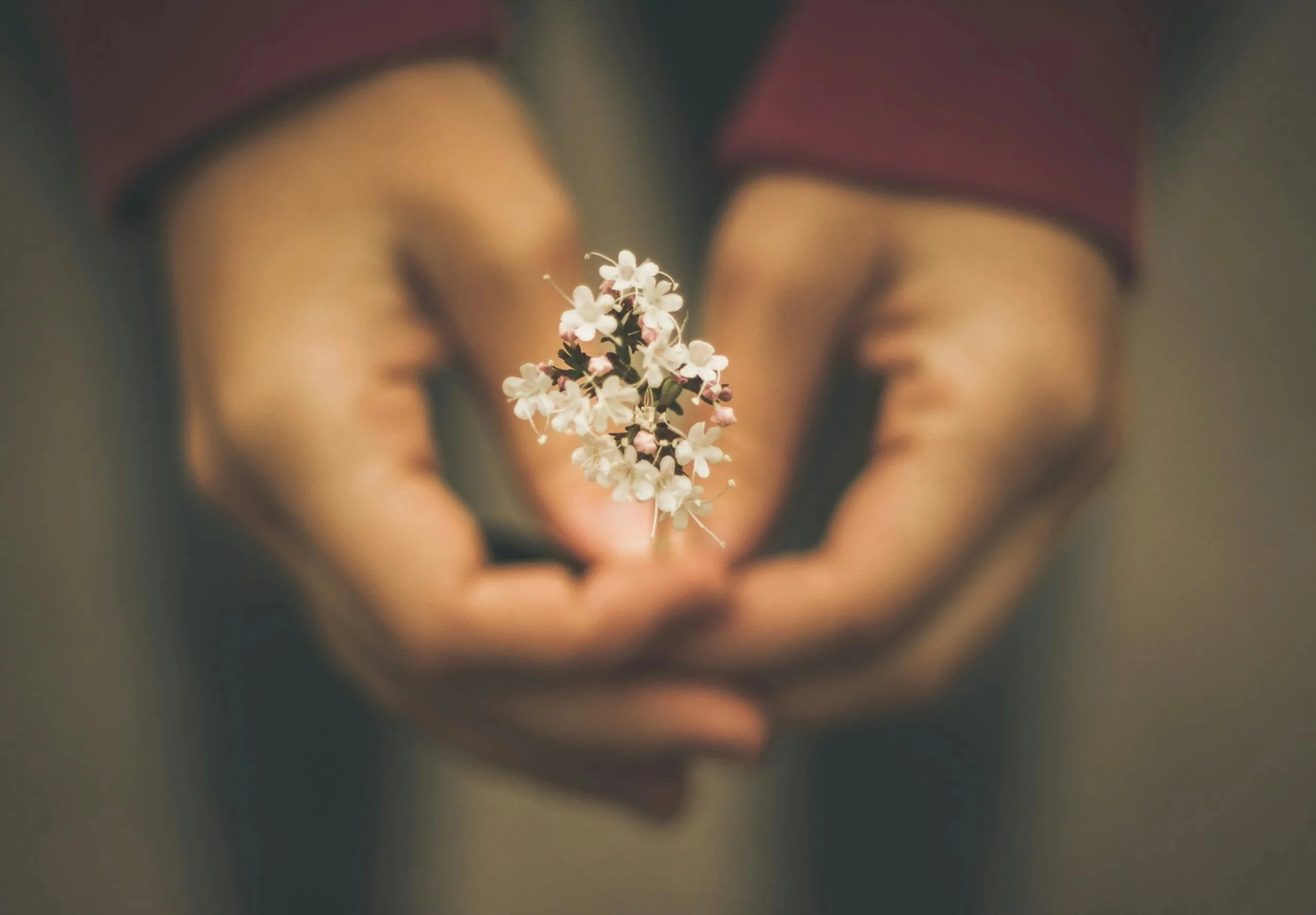 A person holding a small branch of white flowers close to their face, with blurred facial features and background.