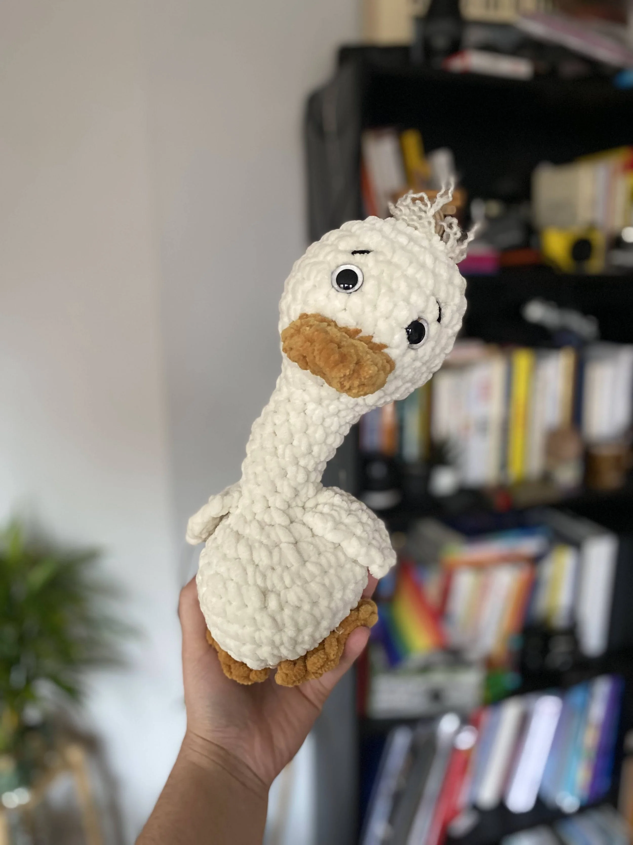 Silly Goose