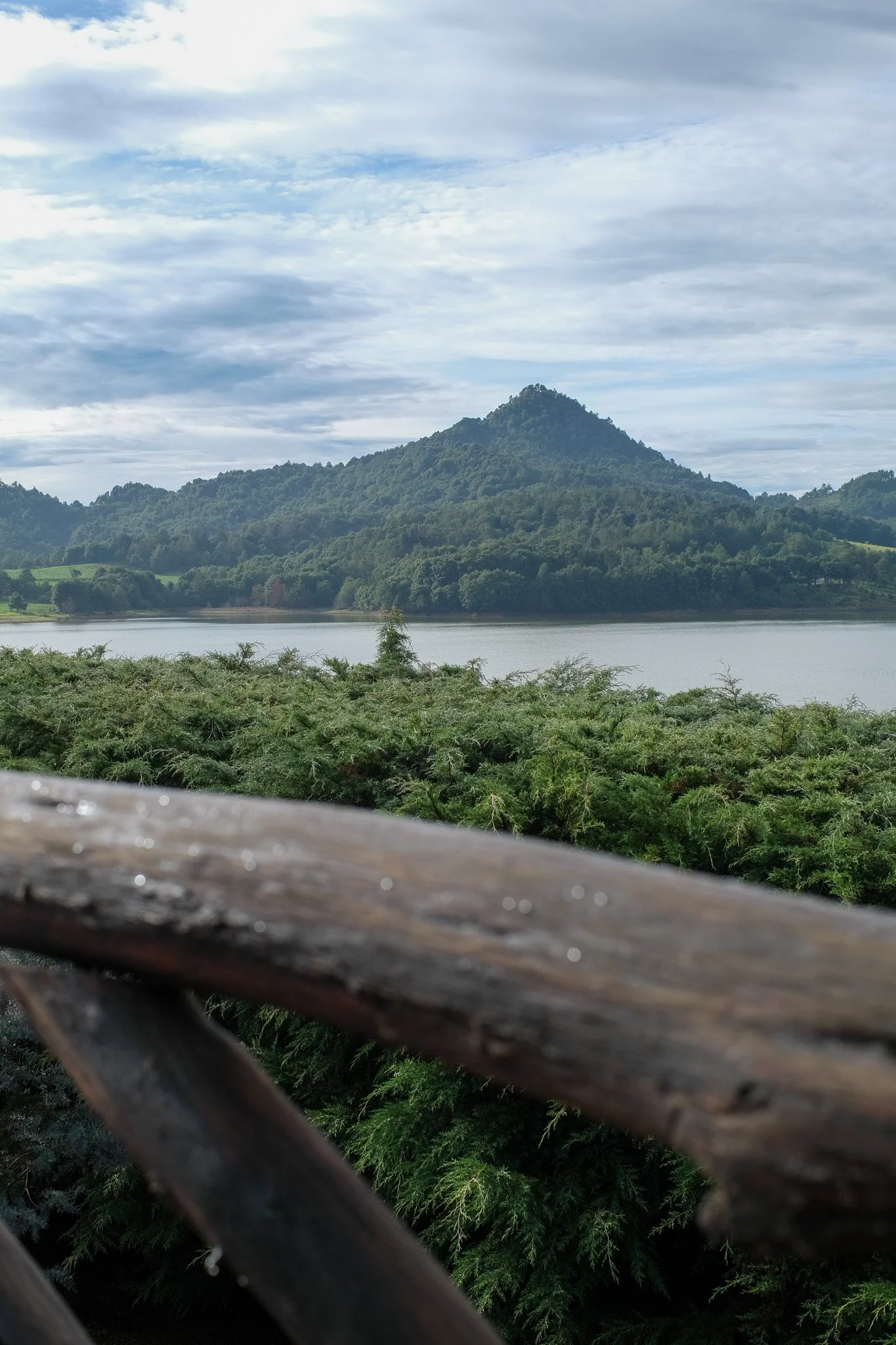 E36874A7-EBE8-4FF0-B8F9-CCC8ED132CCF.jpg