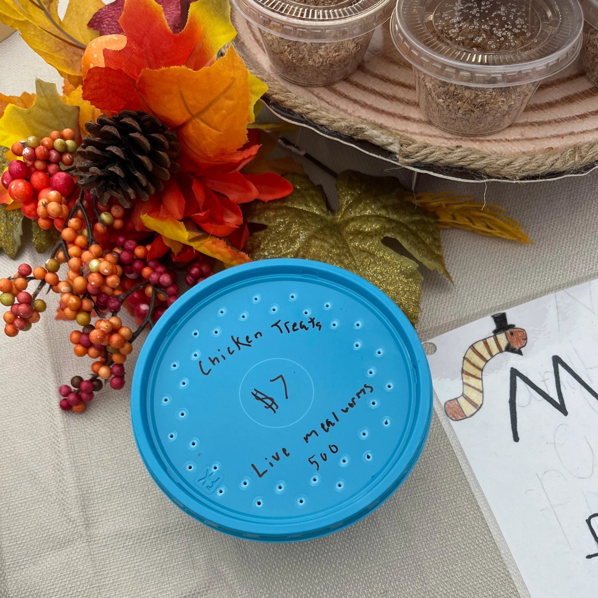 The Buzz on Our Mealworm Farm: Sustainable Protein from Our Michigan Homestead