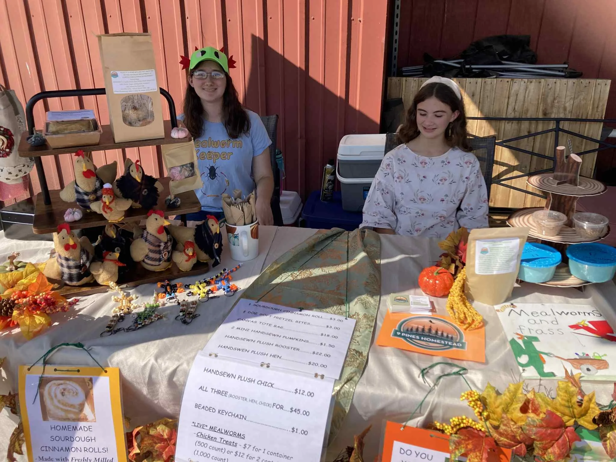 Two girls sitting at a table outdoor, selling handmade felt chicken and rooster plush toys, with signs and decorations, under a red wooden fence.