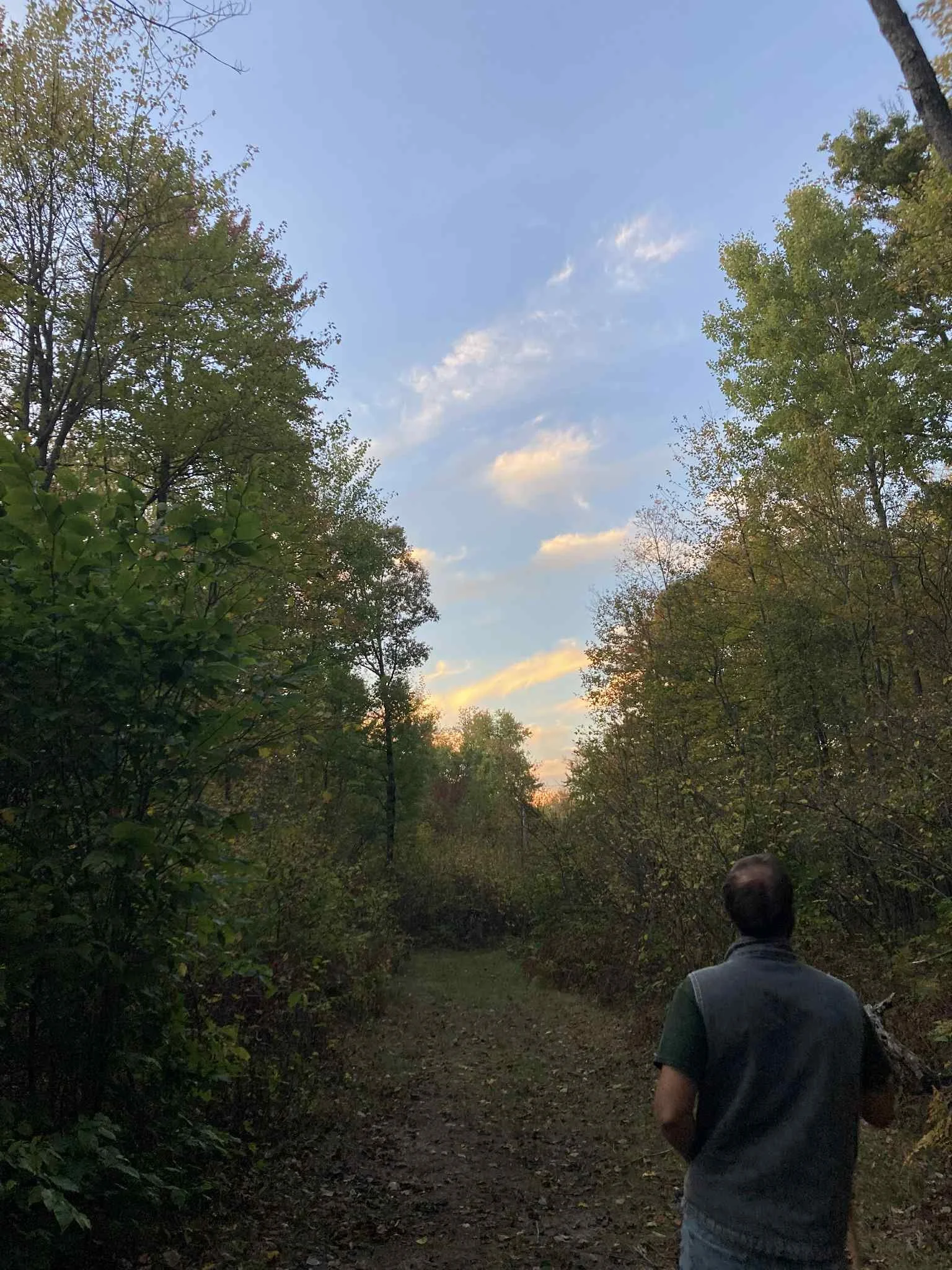 A person walking on a dirt trail surrounded by trees with green leaves, under a blue sky with some clouds.