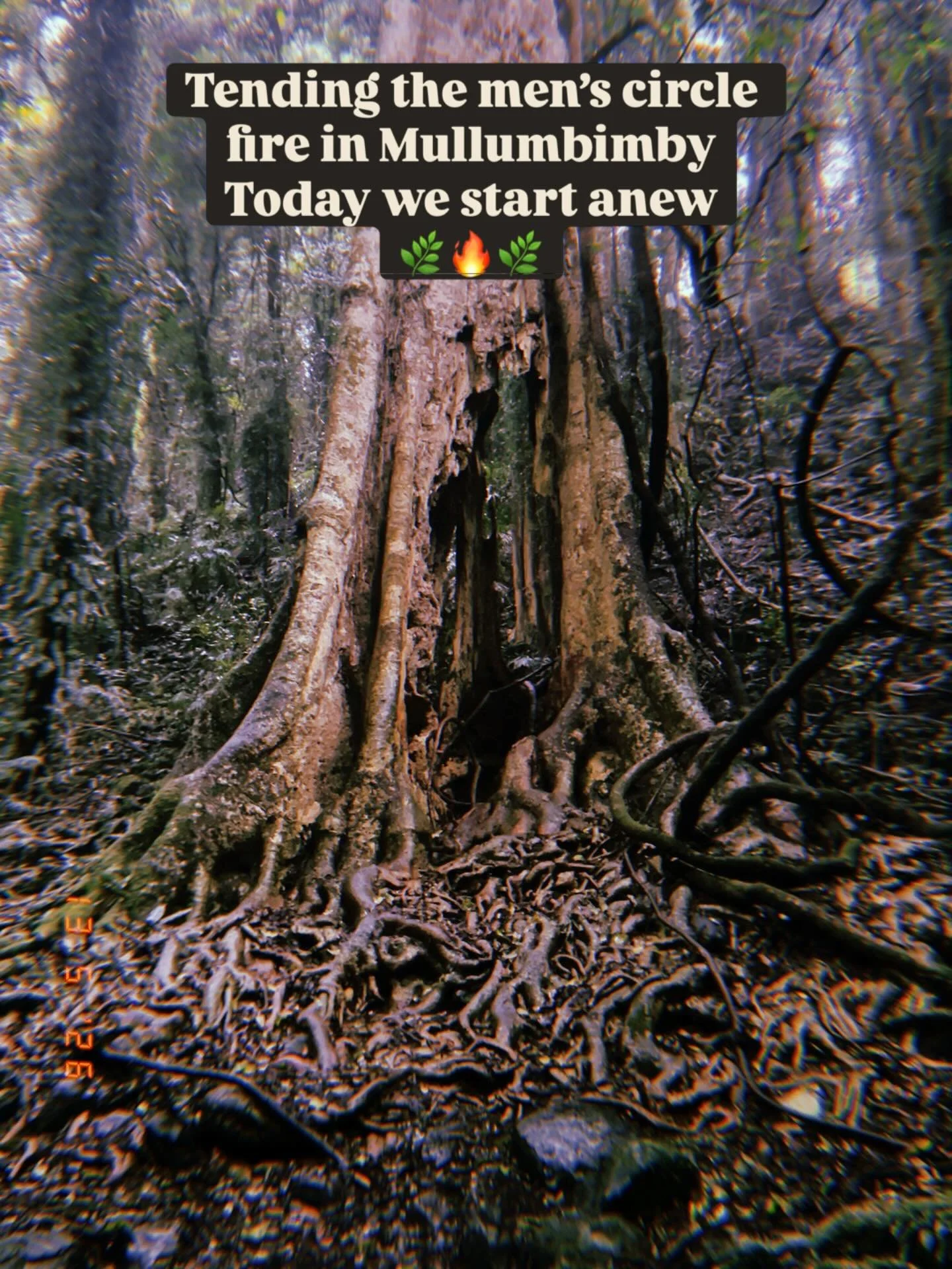 Auē! Yeow! 🔥🐺🐦&zwj;⬛ Today we start a new men&rsquo;s circle here in Mullumbimby, Bundjalung country! A beautiful group of men are gathering to feel our way into this work together around the fire

The northern rivers is a powerful place with coun