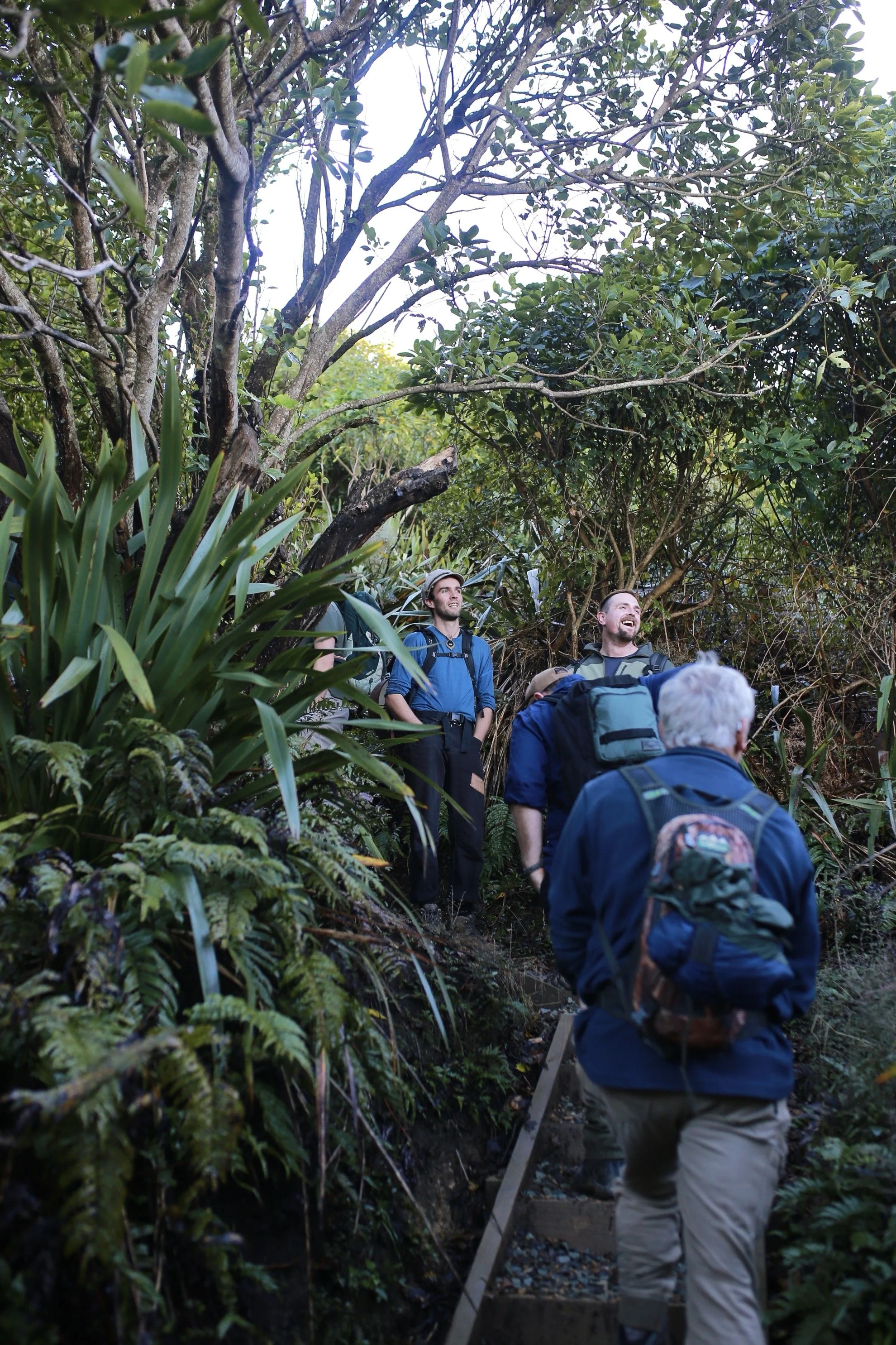 A group of people hiking through a lush forest, some with backpacks, walking along a trail with steps.