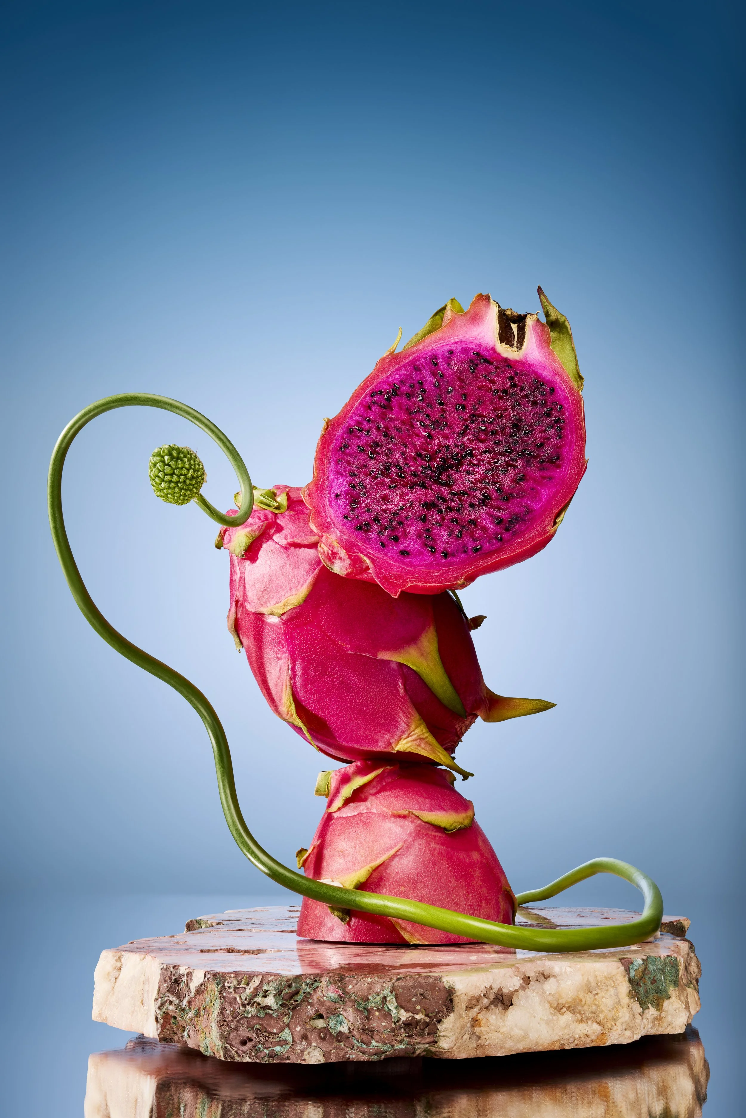YST04_Dragon_Fruit_v1jpg.jpg