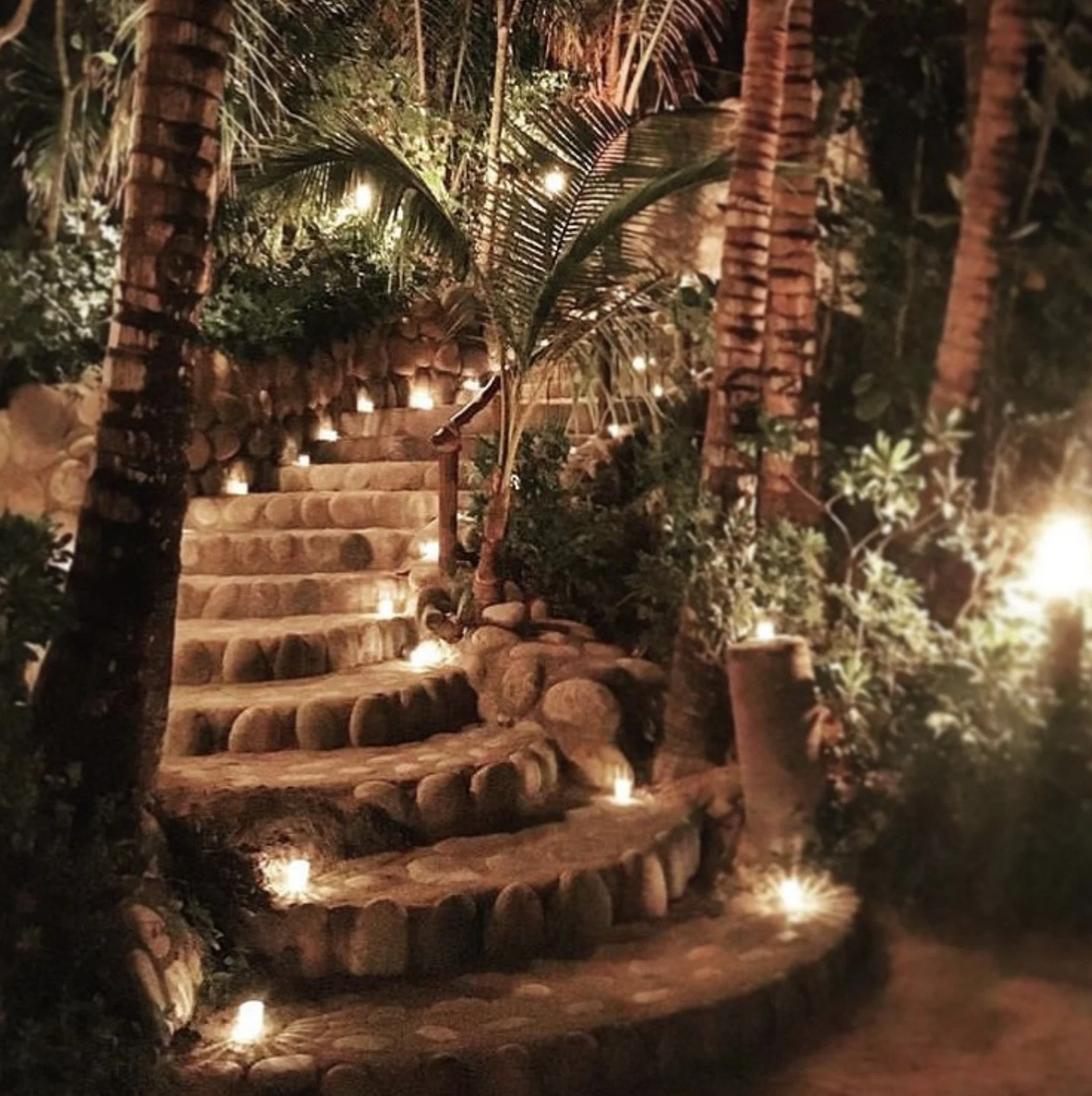 Screenshot 2025-06-23 at 2.52.56 PM.jpeg