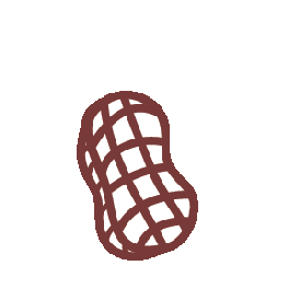 Drawing of a peanut with a brown outline and detail lines on a light beige background.