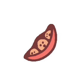 Cartoon illustration of a pod with four round seeds inside.