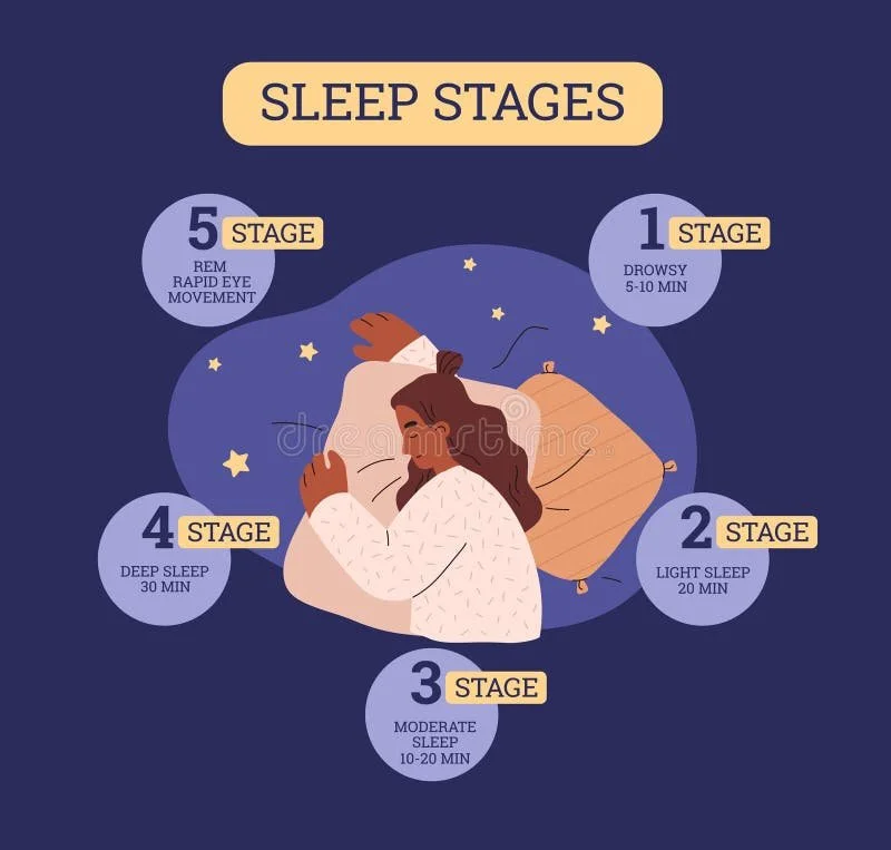 Sleep stages