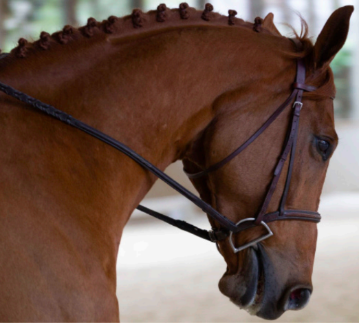 Screen Shot 2025-06-08 at 6.57.12 PM.png