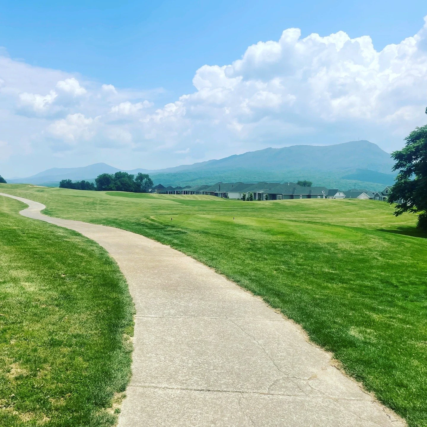 Woods behind you.
Massanutten ahead.
Let it rip.
#SVGolfCo #GolfInTheValley #LakeviewGolfClub #ShenandoahGolf #massanuttengolf