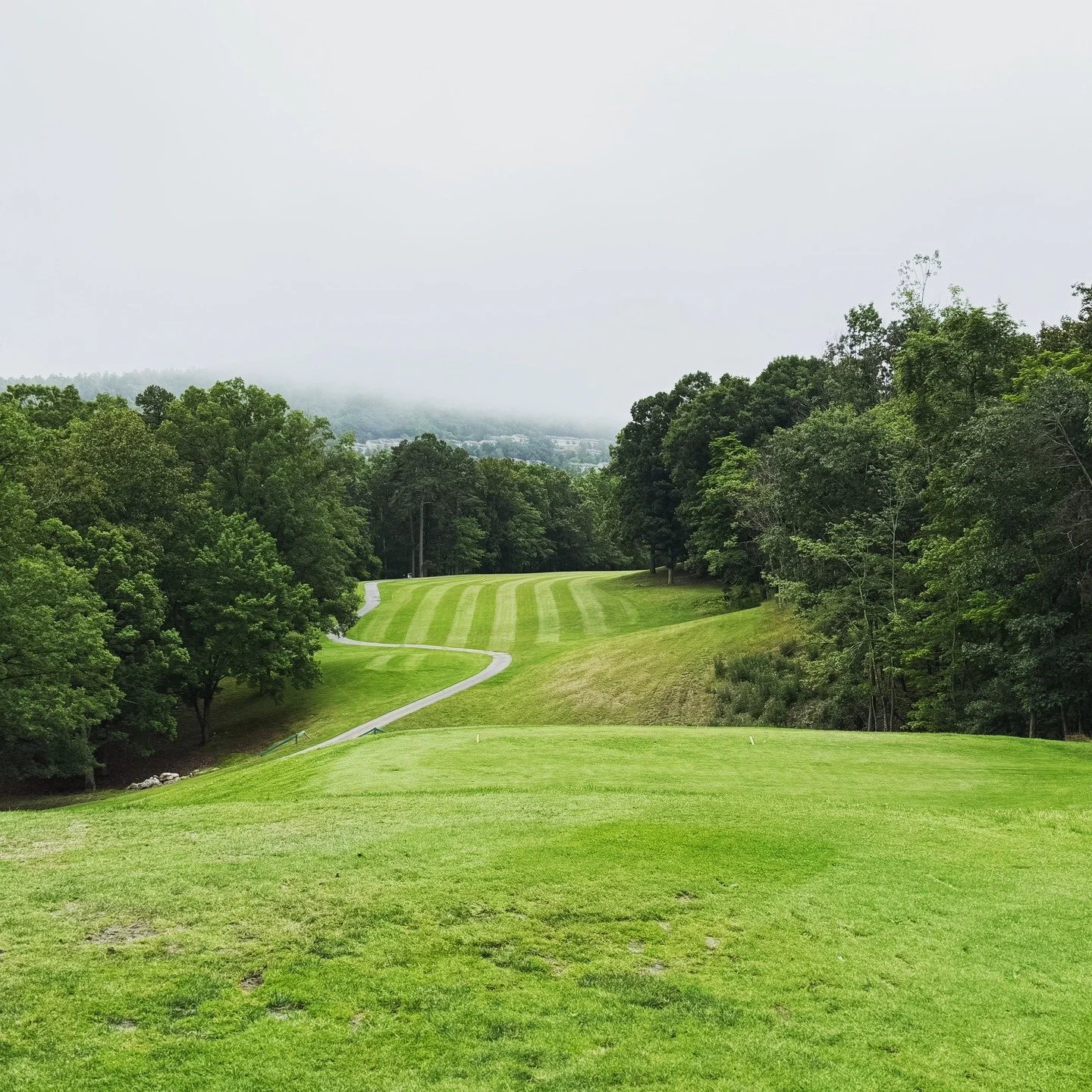 Hole 18 at Mountain Greens.
Dogleg right over the ravine, with Massanutten hiding in the morning fog.
A great way to finish the round &mdash; and an even better way to start the day.

#MountainGreens
#SVGolfCo
#ShenandoahGolf
#GolfVirginia
#VirginiaG