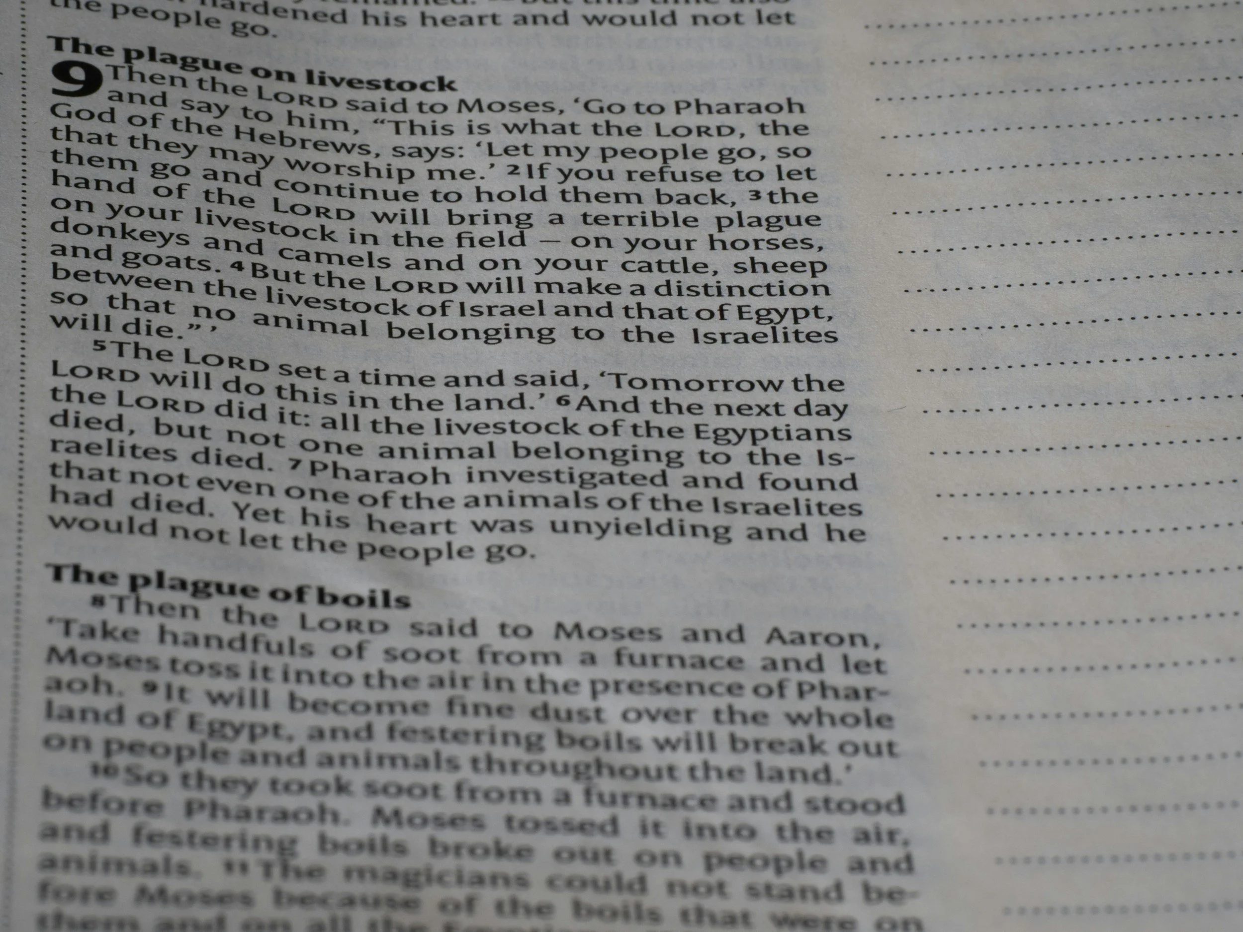 Identity: The Foundation of Our Purpose