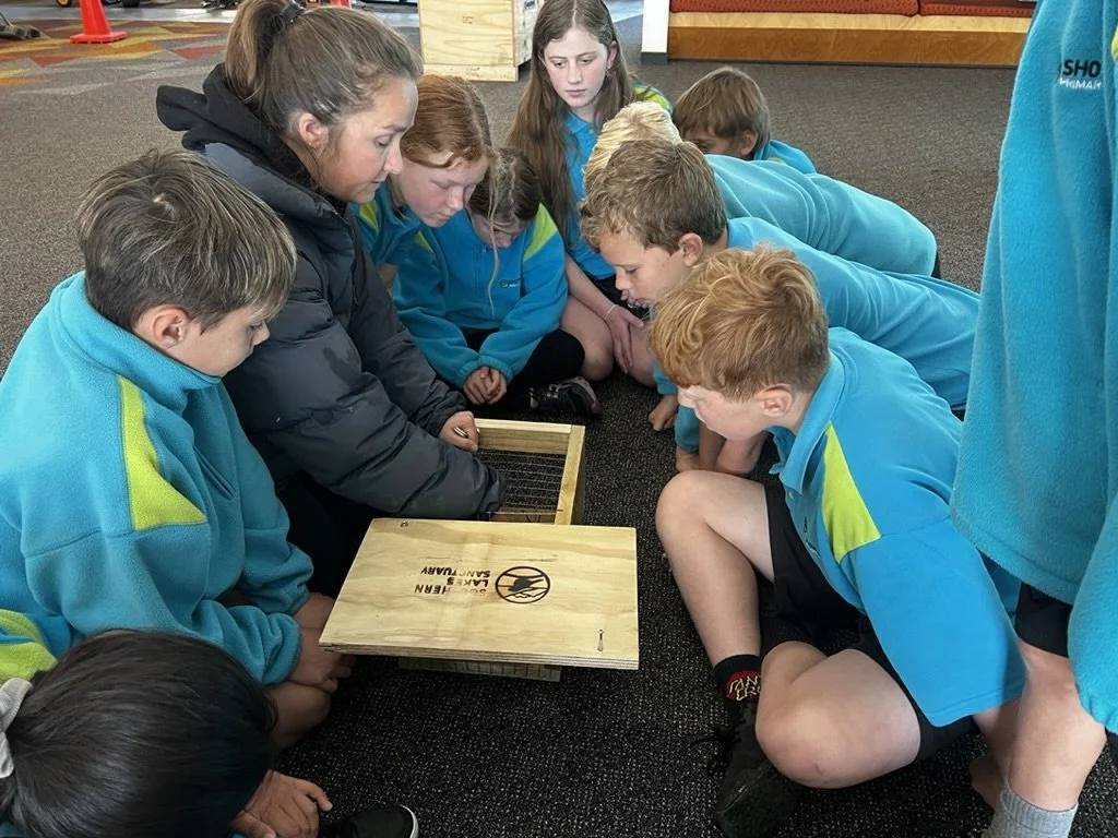 Shotover Primary Wetland restoration10.jpeg