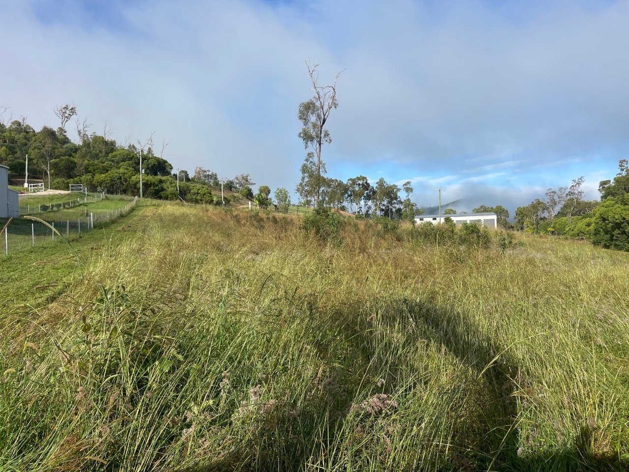 A grassy, hilly landscape with tall grass in the foreground, scattered trees, and a building in the background under a partly cloudy sky.