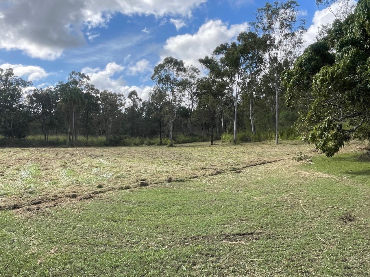 Open grassy field with tire tracks, surrounded by trees under a partly cloudy sky.