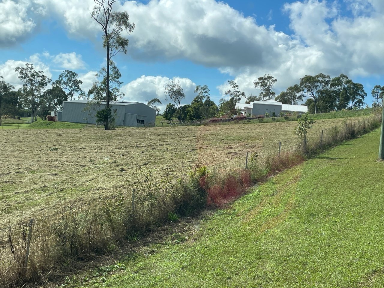 Open grassy field with sparse vegetation and scattered trees, located near some buildings under a partly cloudy sky.