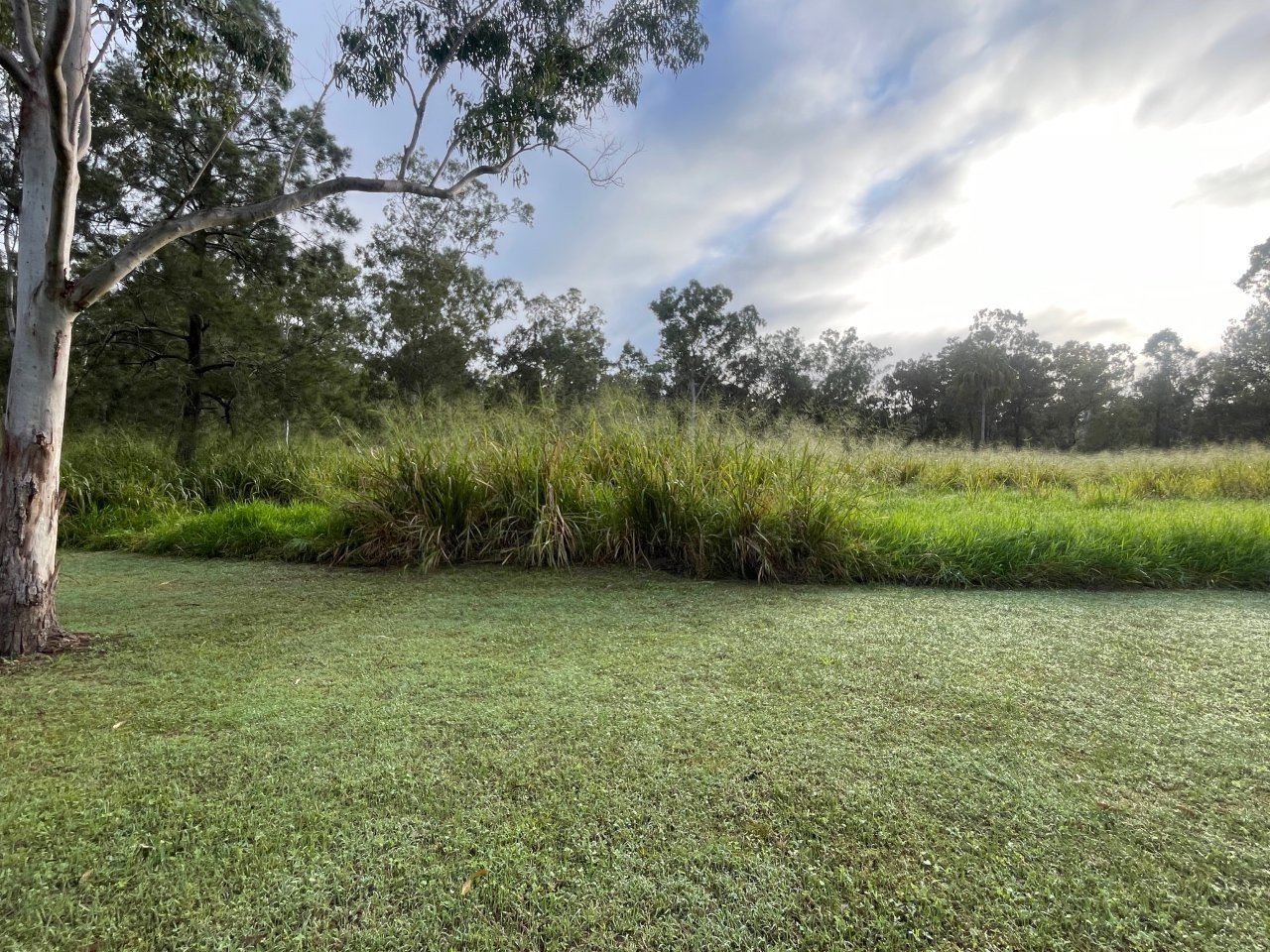 A grassy field with trees and bushes under a partly cloudy sky during daytime.