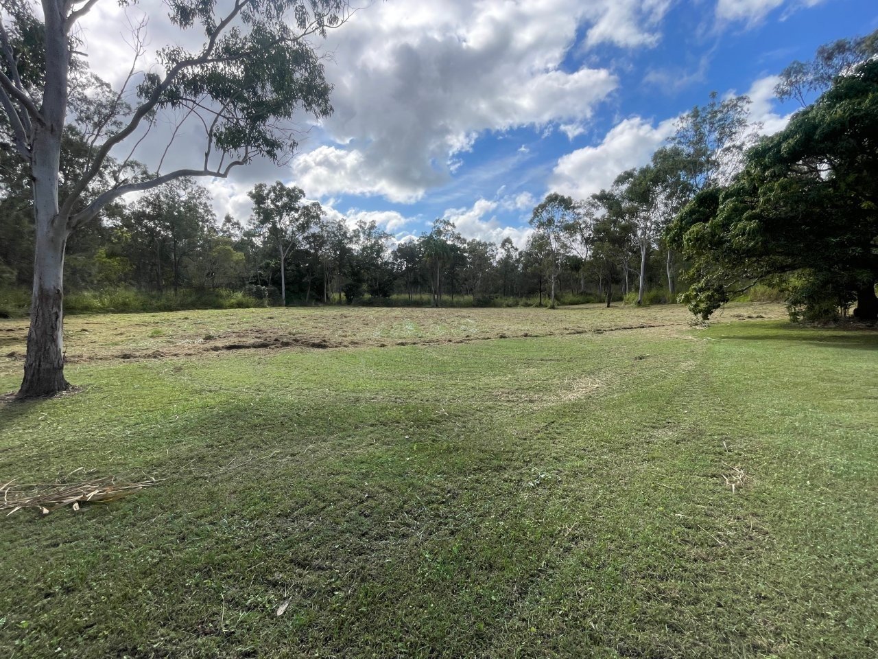 Open grassy field with trees and a cloudy sky
