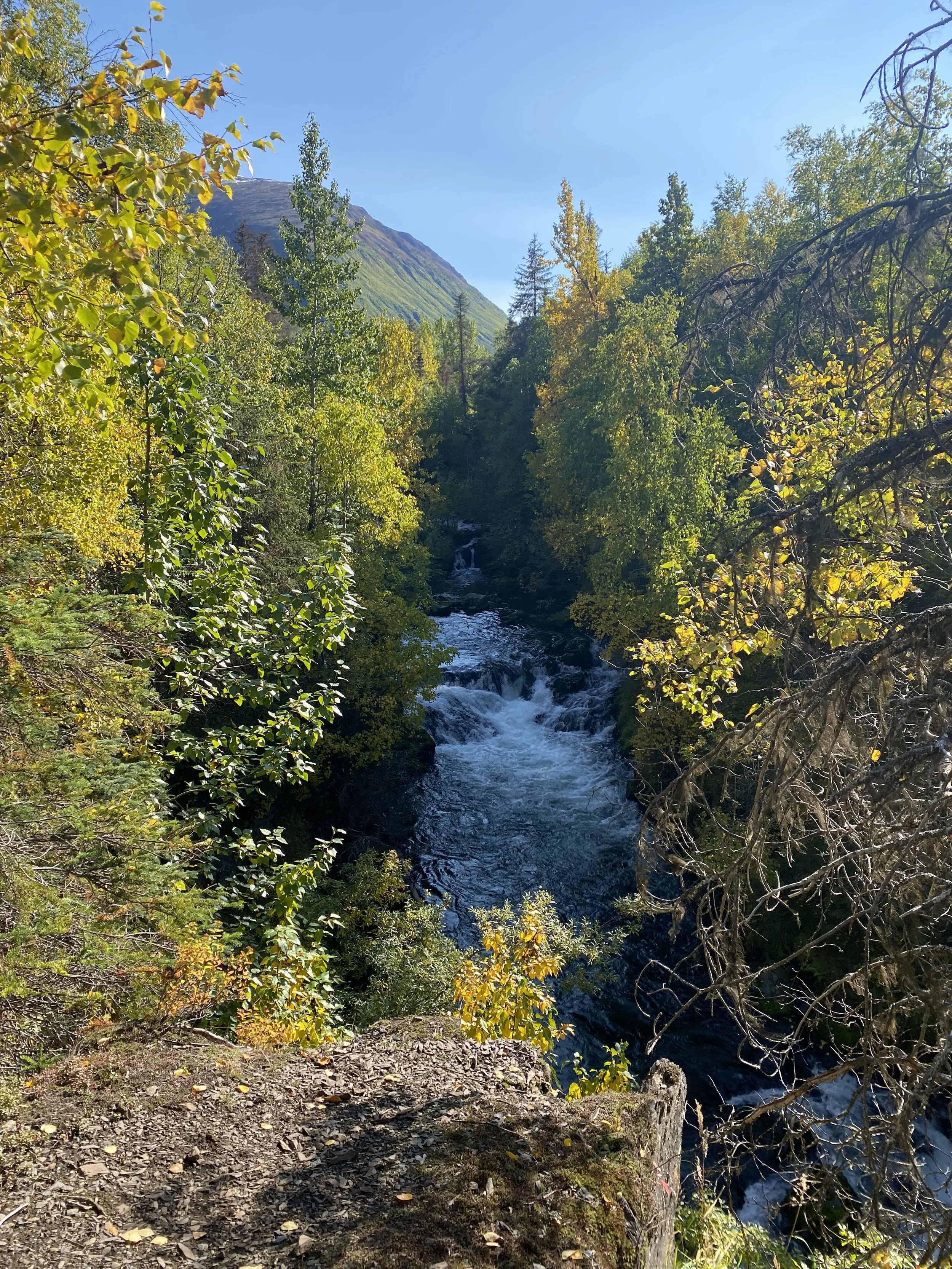 IMG_0992.jpeg