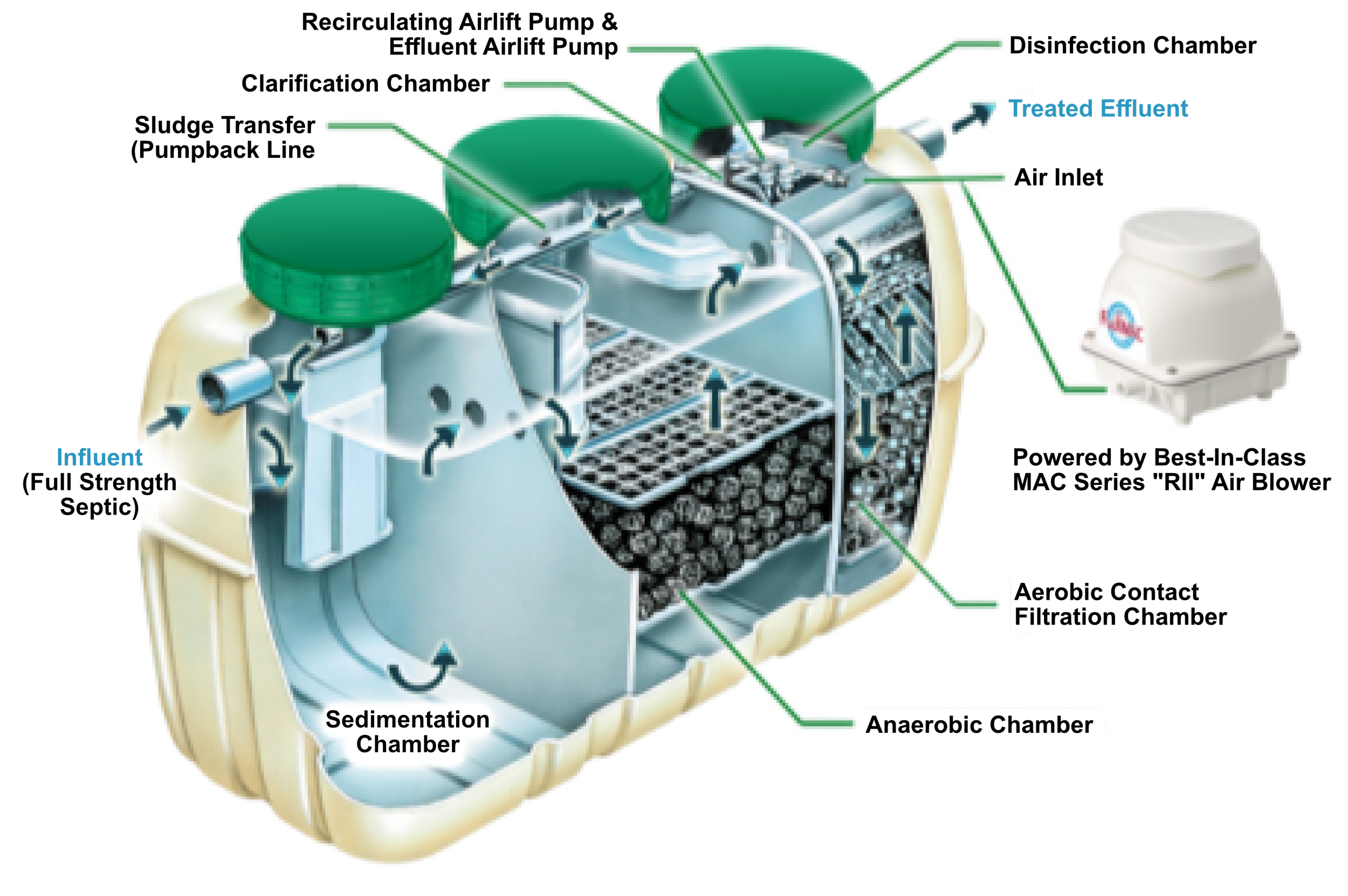 Septic Tank