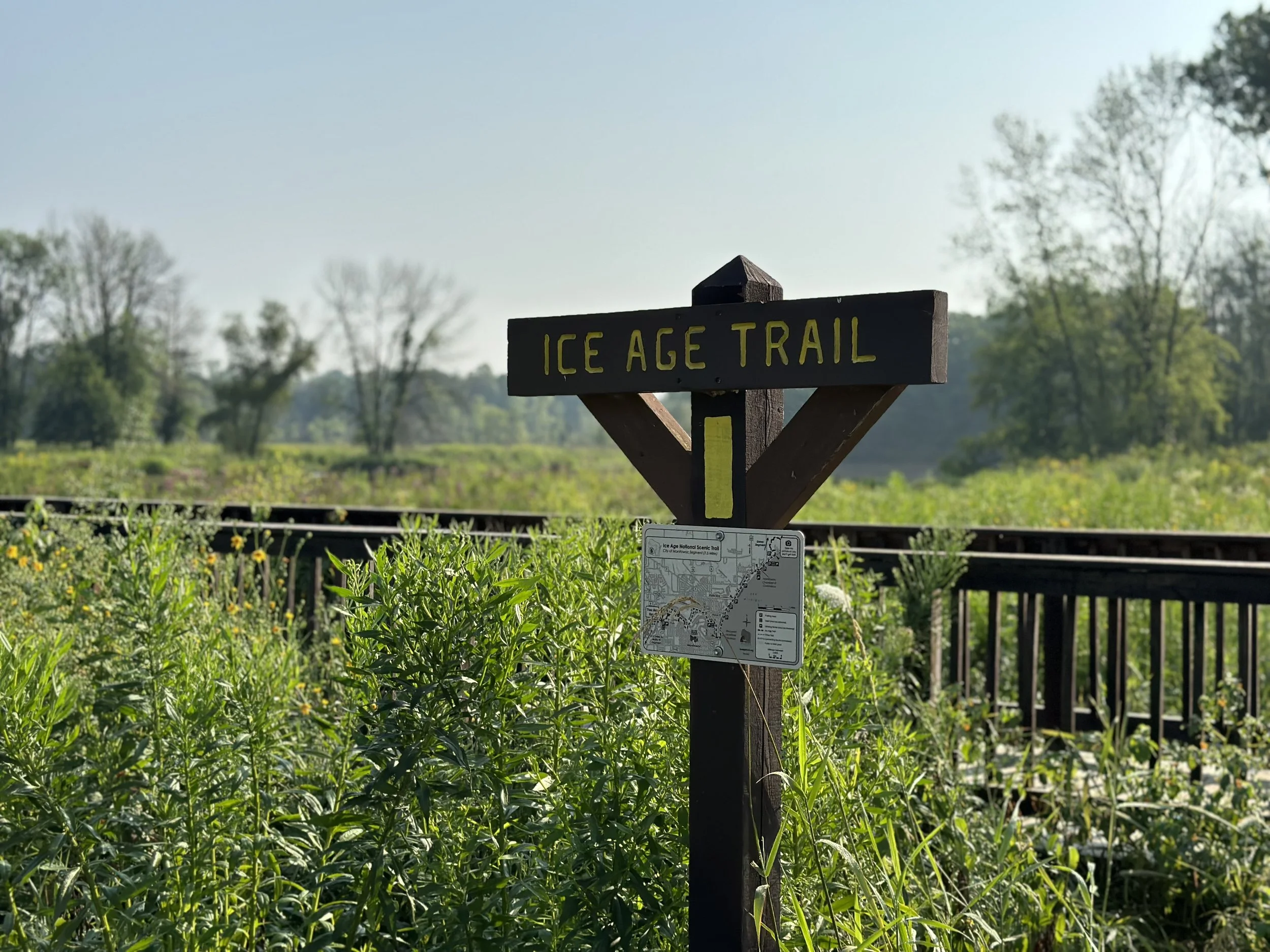 photograph of a brown wooden sign with yellow letters that read ICE AGE TRAIL in a natural area with wildflowers and trees in the background