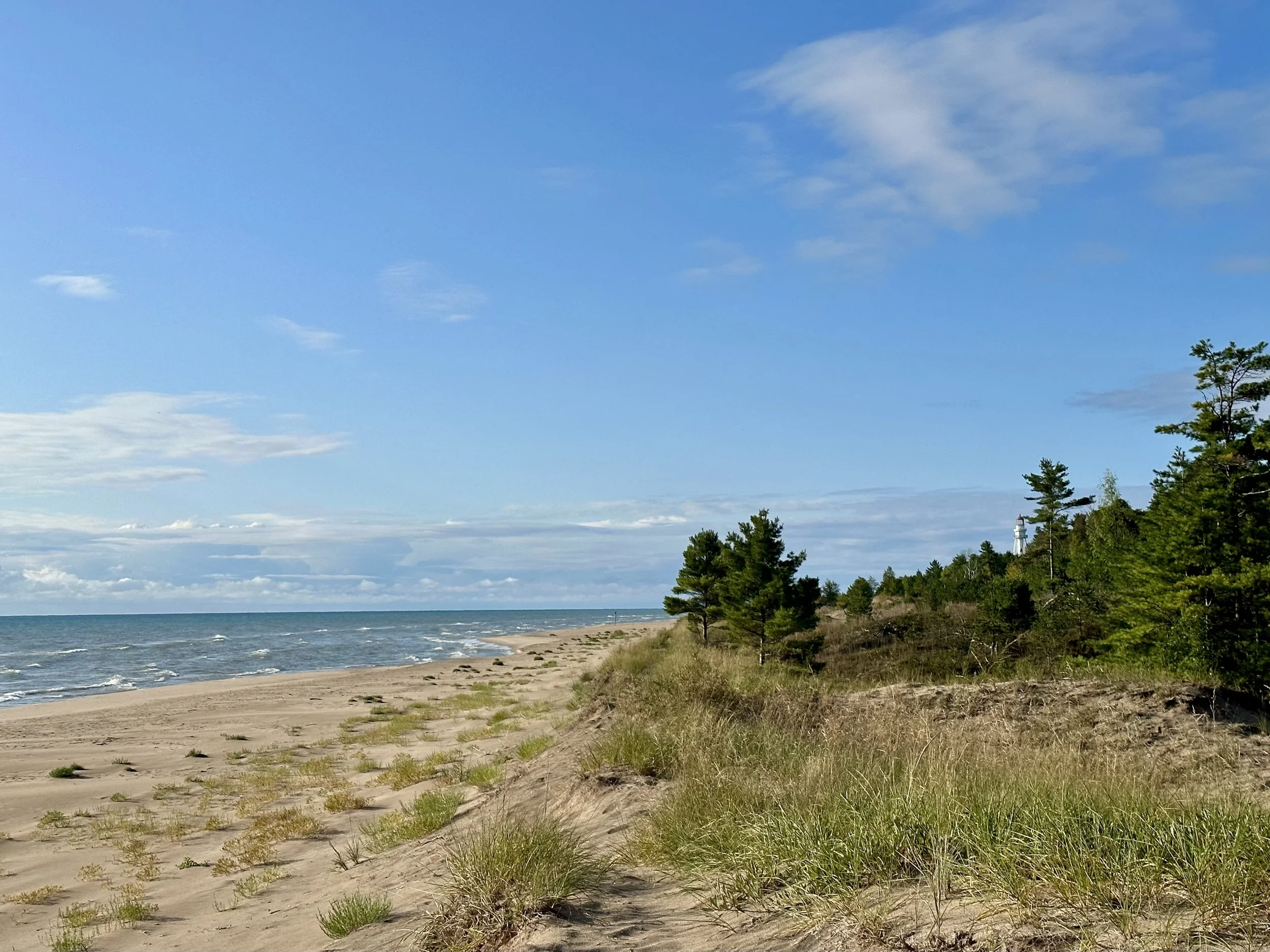 photograph of dunes, tall grass, sandy beach, waves on Lake Michigan, green trees, and a lighthouse in the distance on a partly cloudly day