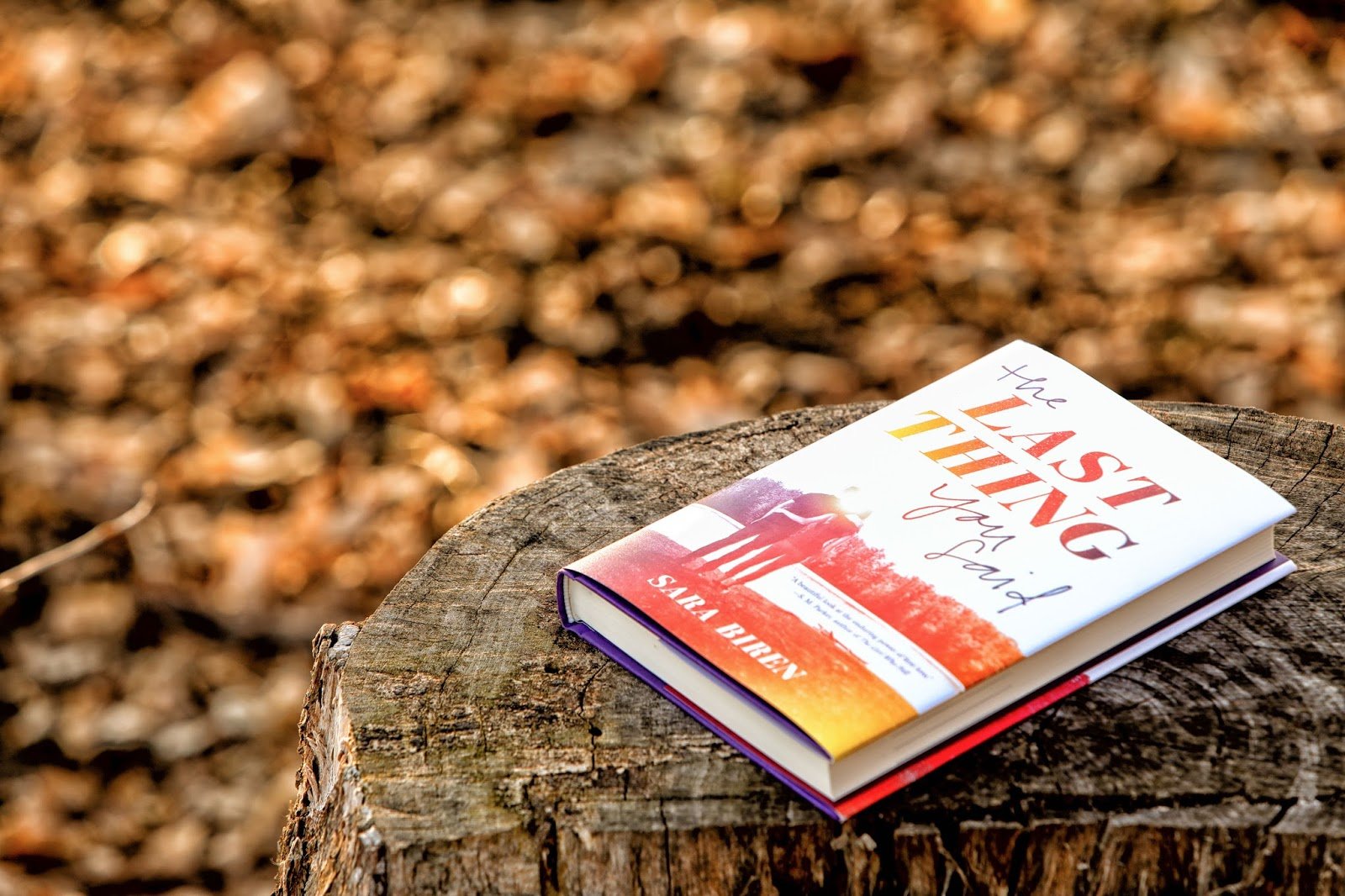 Photograph of a hardcover book on a stump with a blurred wooded background. The title reads The Last Thing You Said. The cover includes an image of a teenage girl and boy with their arms around each other facing a lake and trees