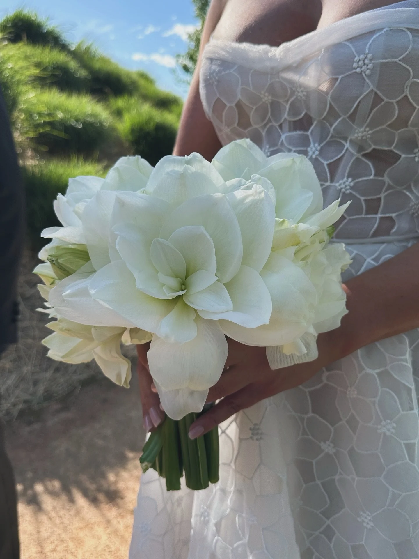 Melissa 🤍
@mel_elsworth, I miss the laughs and planning !
The most beautiful bride inside and out Xx