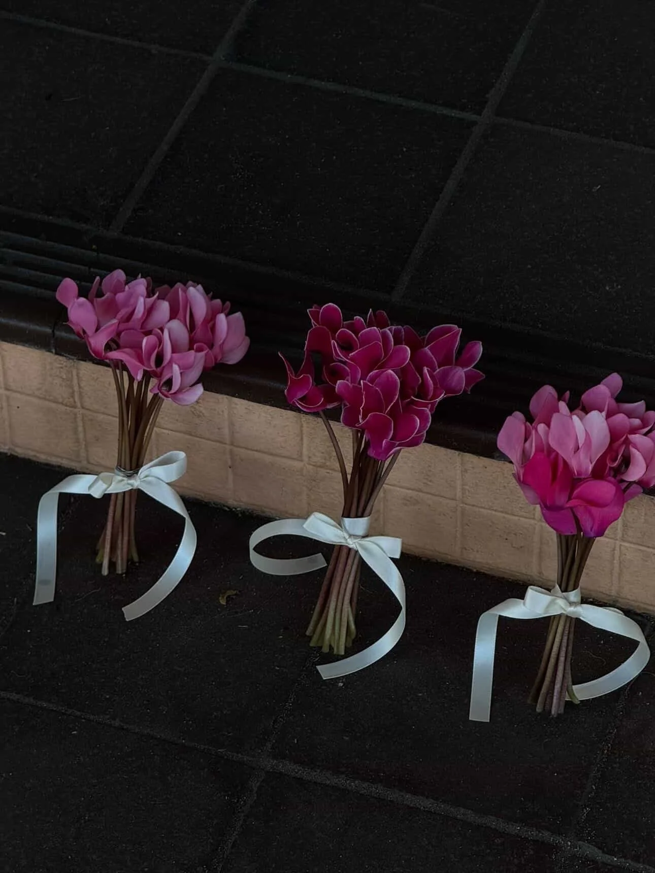 Micro Cyclamen posies. 

#cyclamen #microposey #flowergirls #flowergirlinspo #prettyinpink L